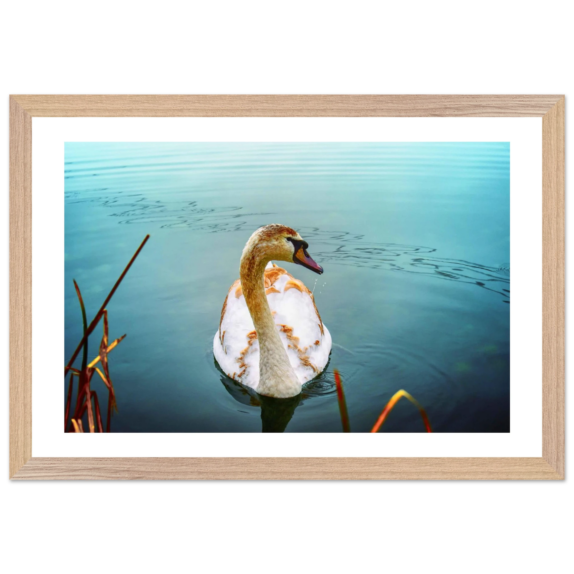 8cb11503-dcaf-49fd-af54-59ee16098671