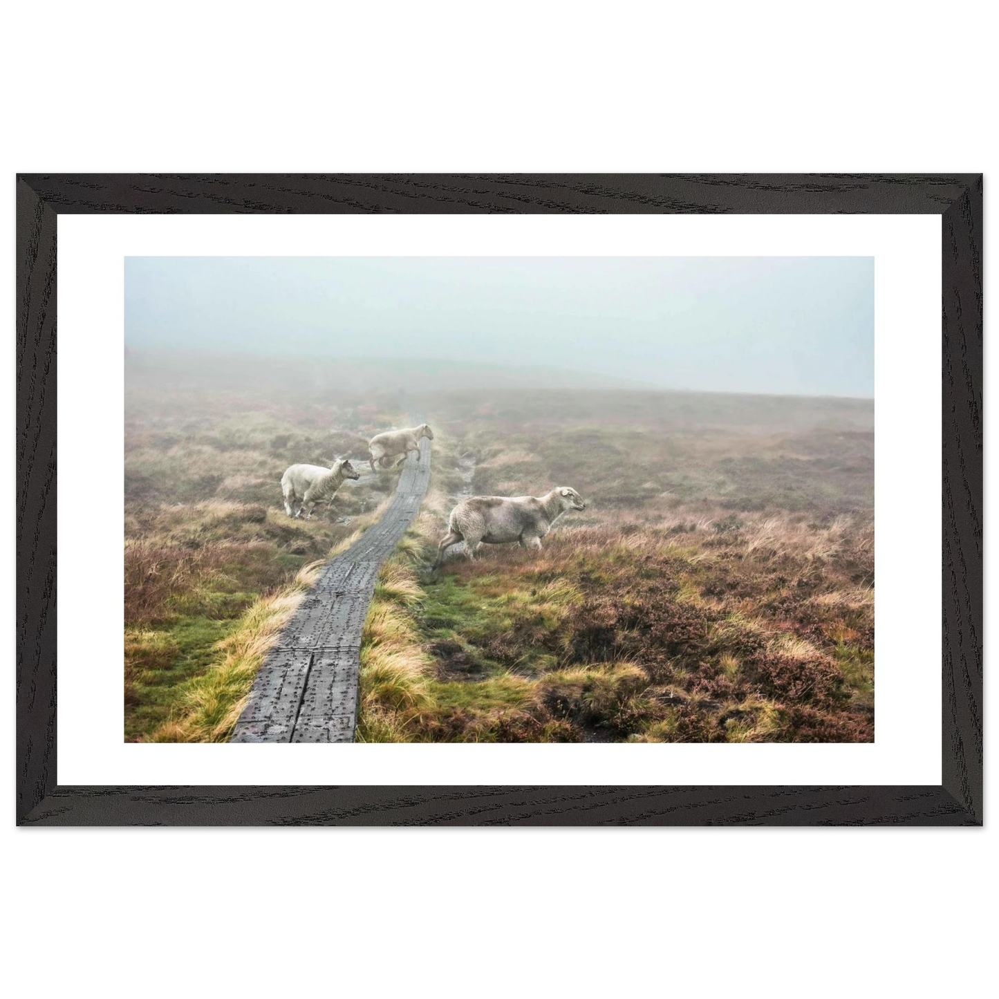 8cc26311-d903-46b7-aa2a-32bc6f0704b9