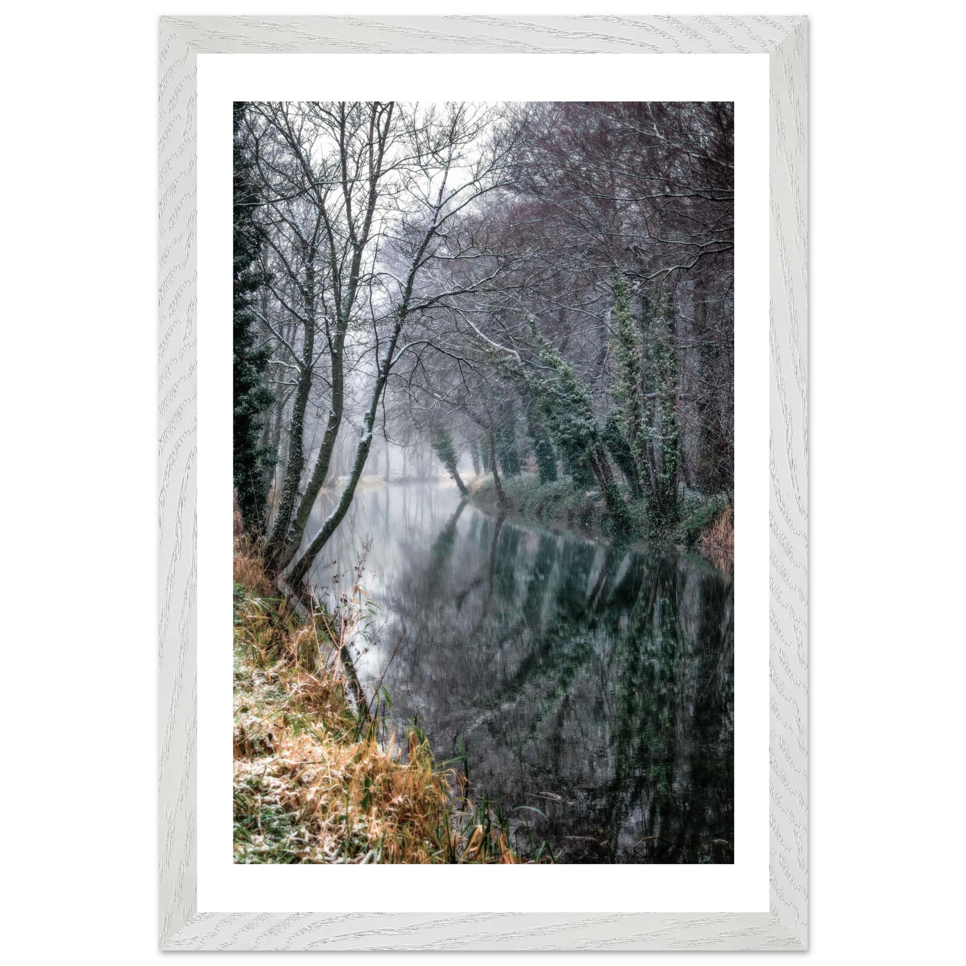 8cf9c5a7-bc75-4063-bf98-e3429d937aef