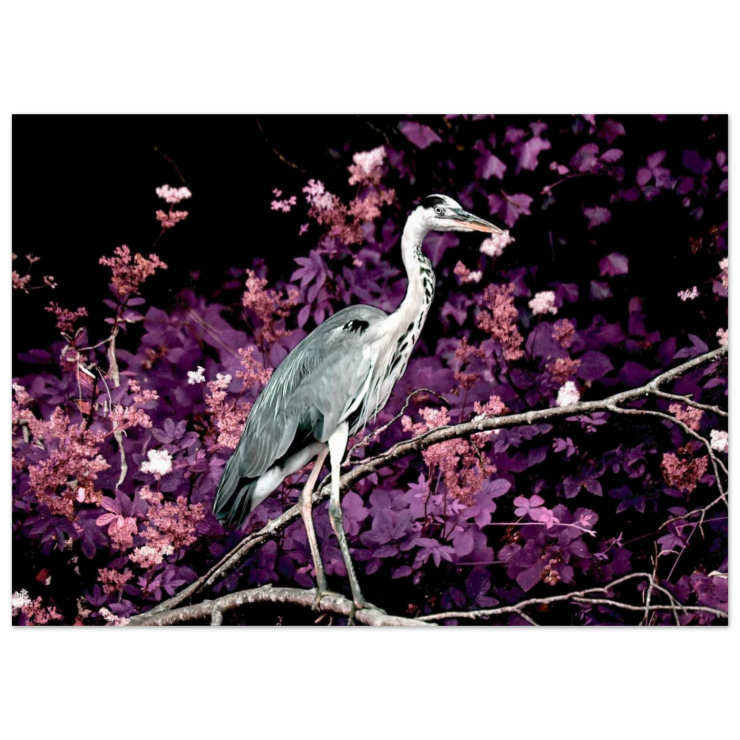 8dd23d8d-0d7f-4c07-81b6-162870bd15d1