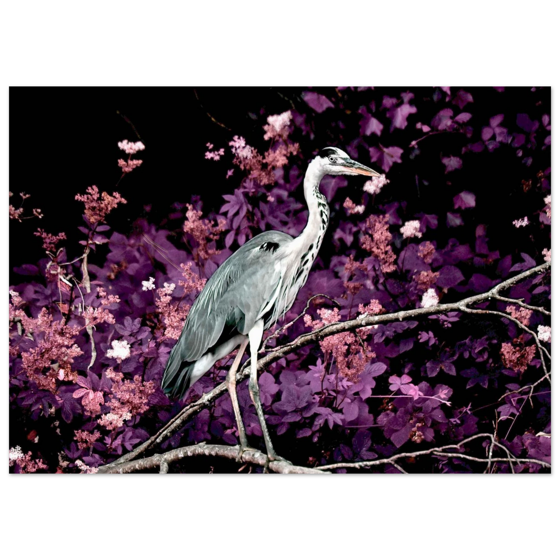 8dd23d8d-0d7f-4c07-81b6-162870bd15d1