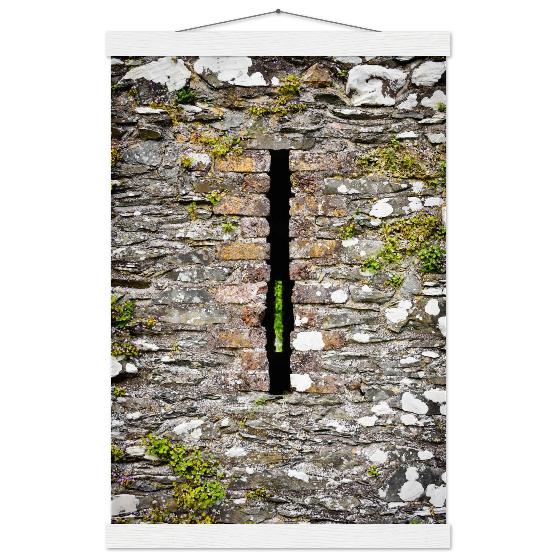 8e1d658f-cd81-4a1d-b93e-2d79a736c766