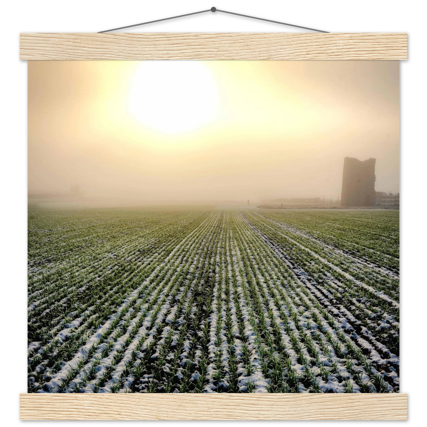 8e523698-0a86-4717-8b4a-14af1c64c5f4