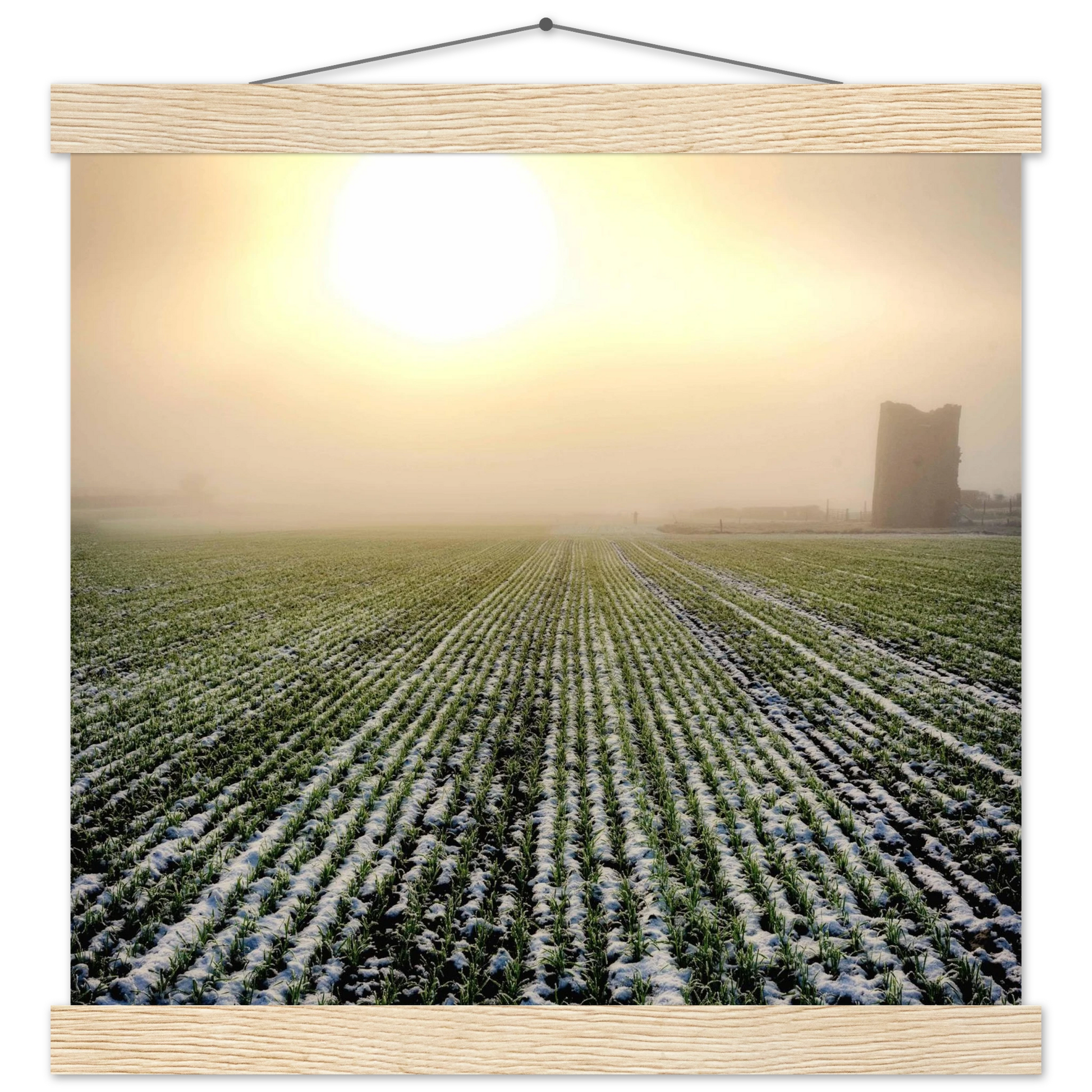 8e523698-0a86-4717-8b4a-14af1c64c5f4