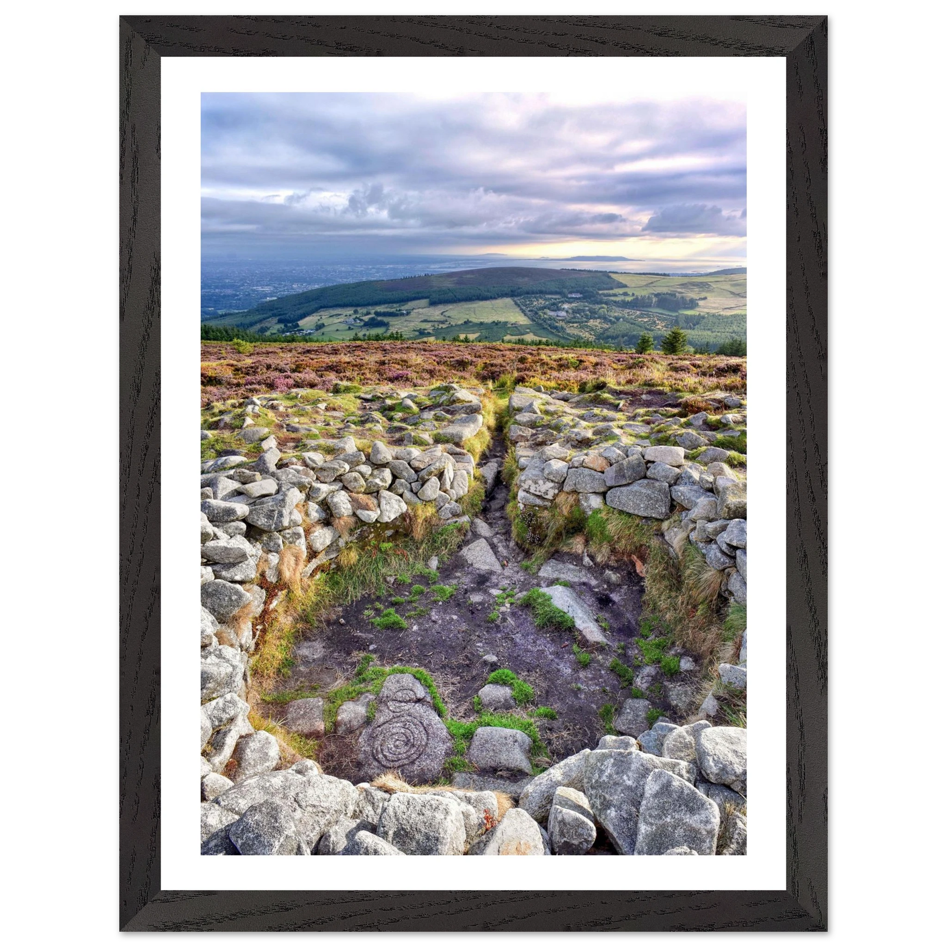 8e9cd85d-2d4c-4eb9-9781-d0a43fd7fa62