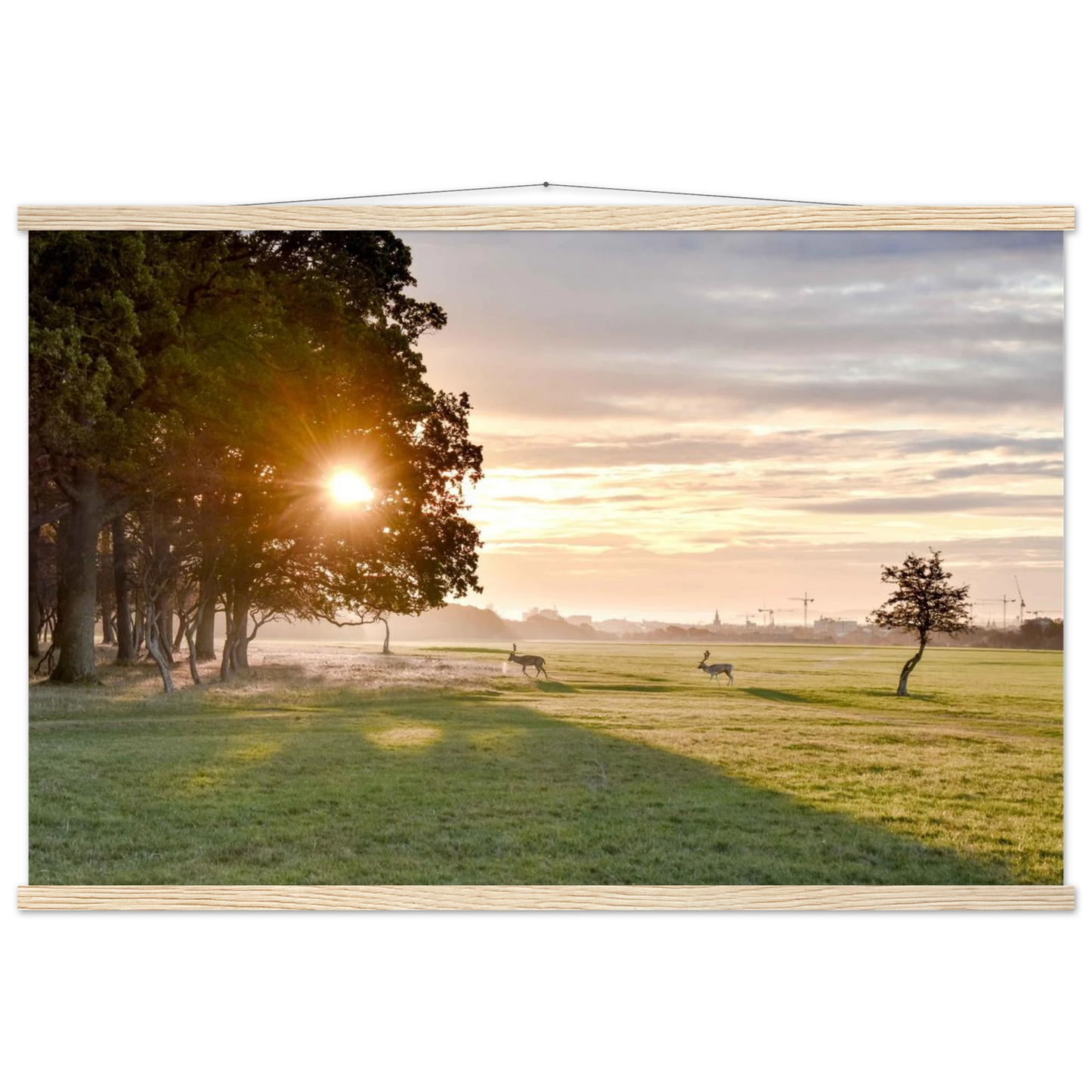 8f0b06a3-d6d2-404c-9867-a7c03980a12c