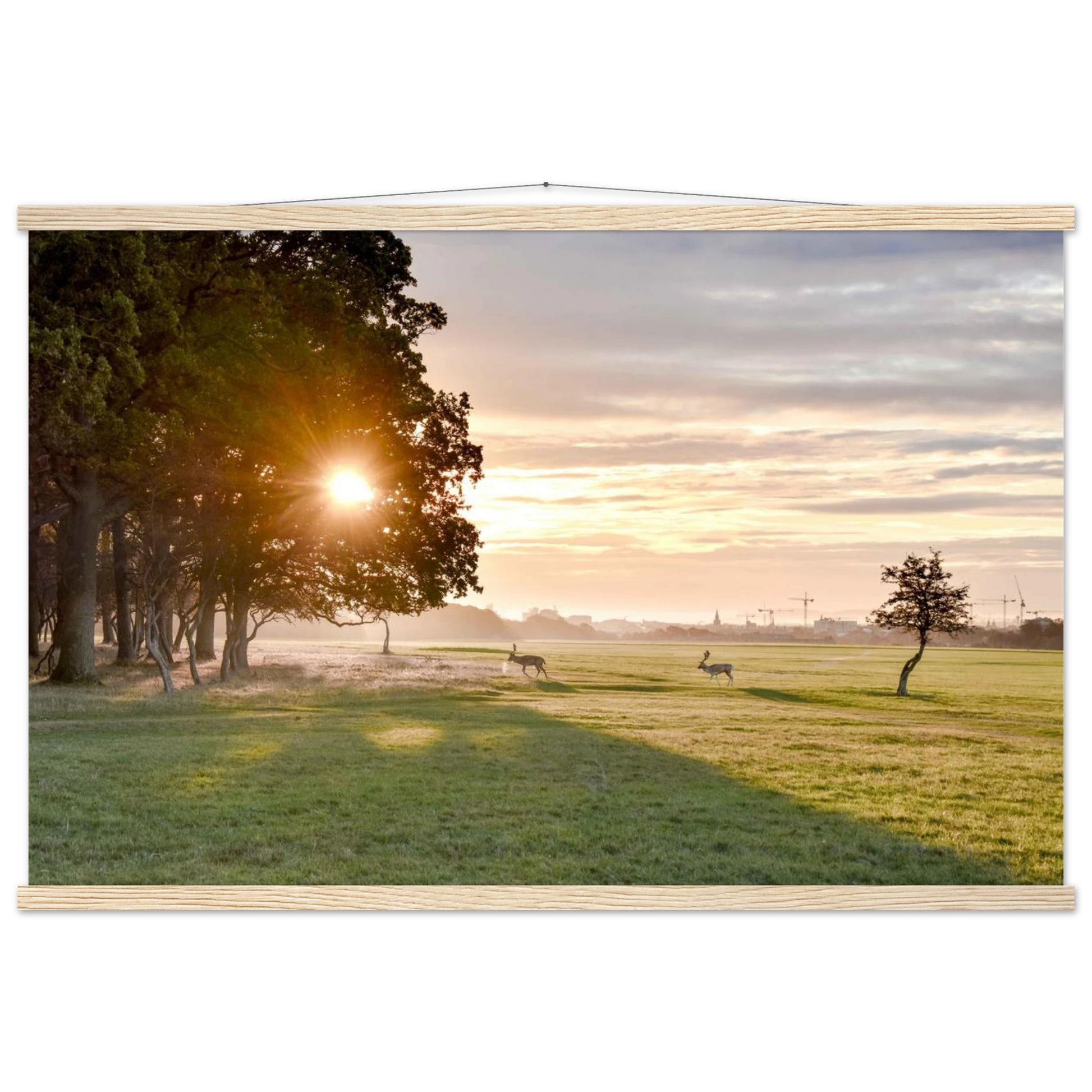 8f0b06a3-d6d2-404c-9867-a7c03980a12c