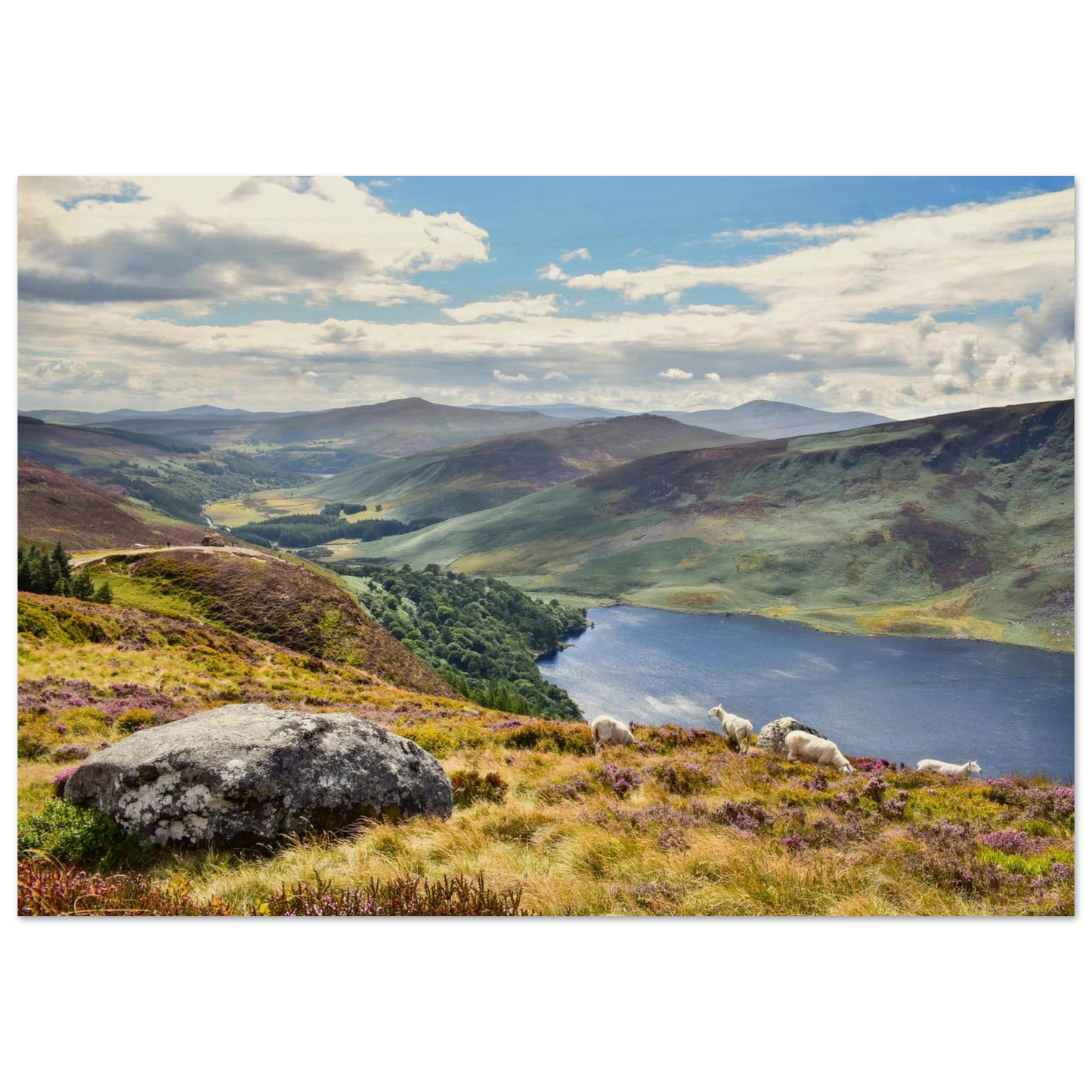 8fd455a0-2114-47a2-ac98-61f61fa966d5