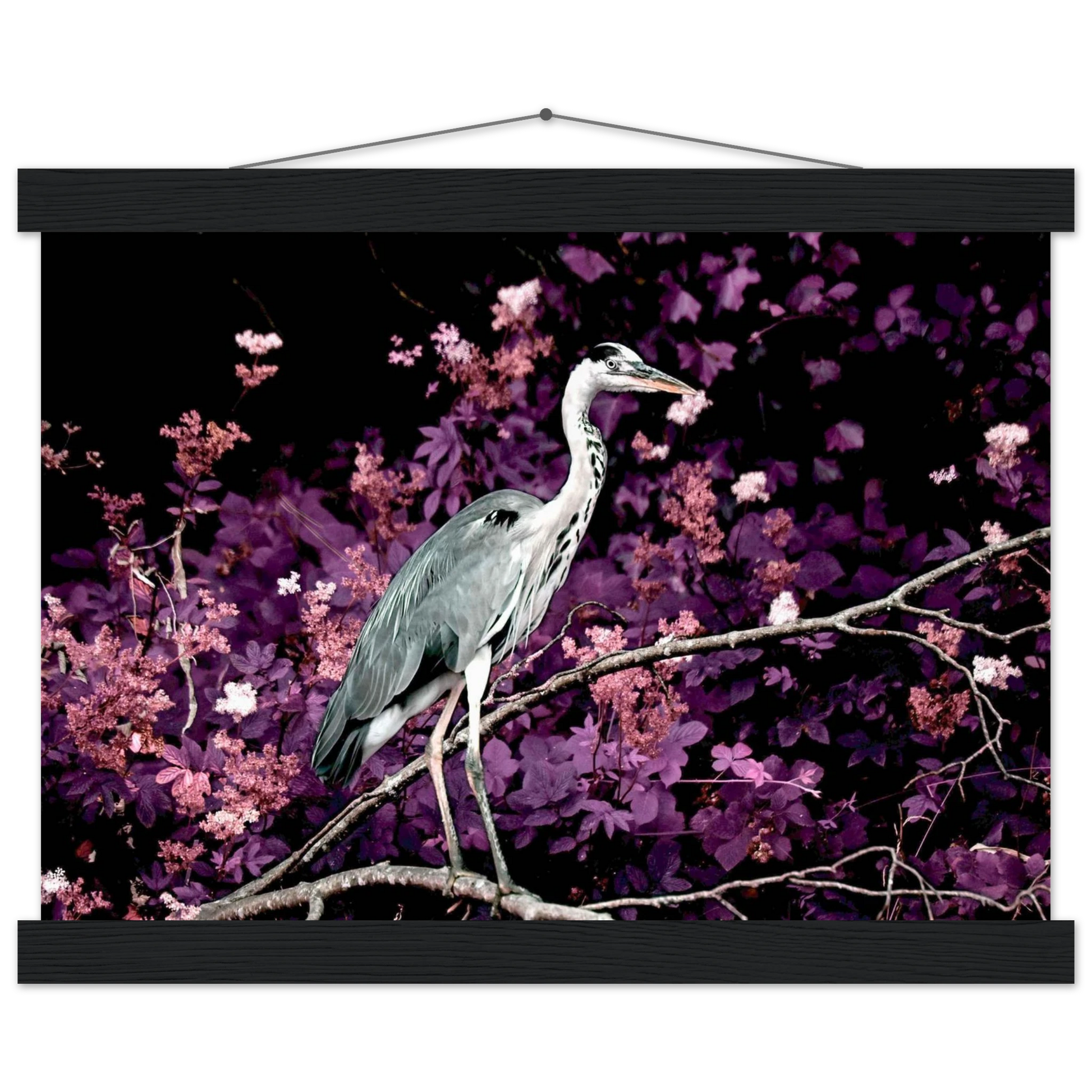 9008b9ff-500b-457d-9802-a702def6d520