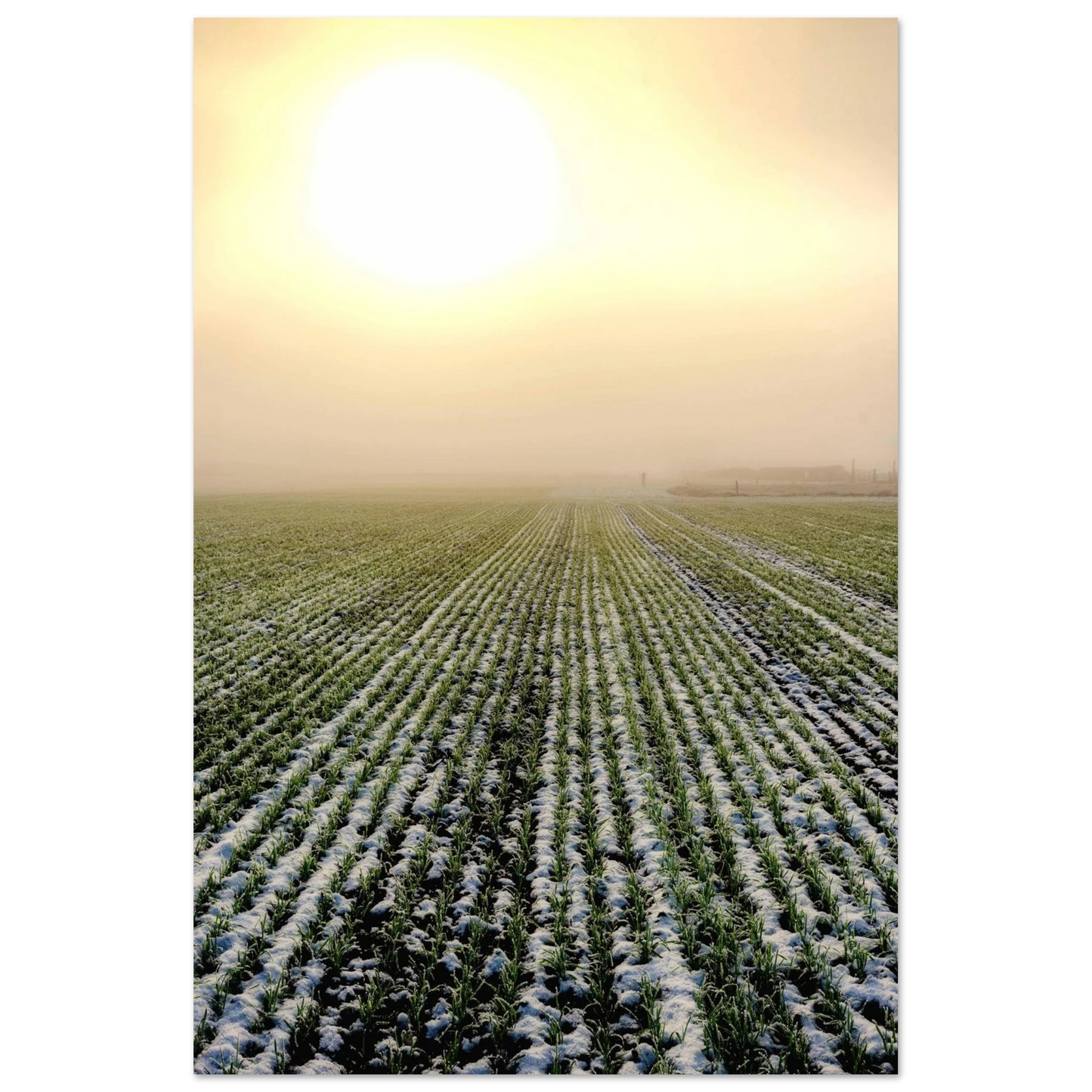 906c8559-20df-4eb2-8bbf-511606b062b0