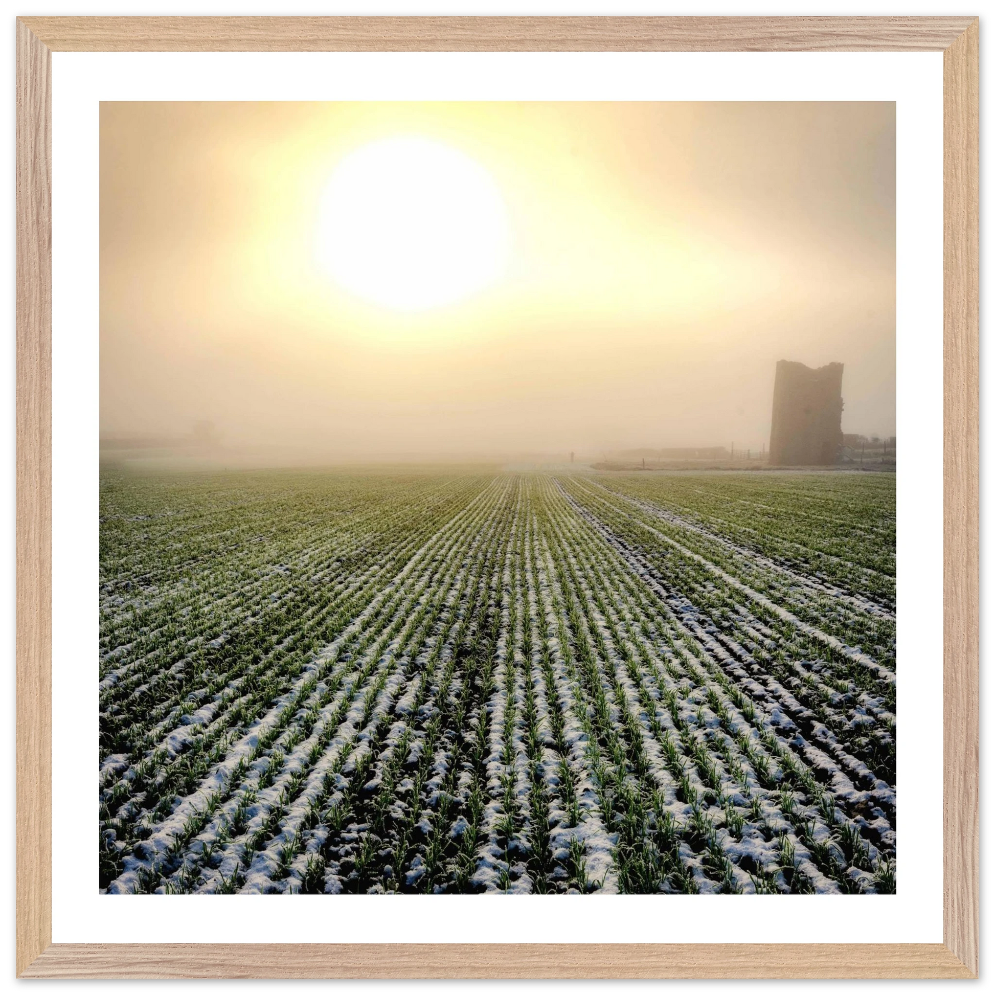 907e195e-ae87-48b7-9d10-46af5bebe572