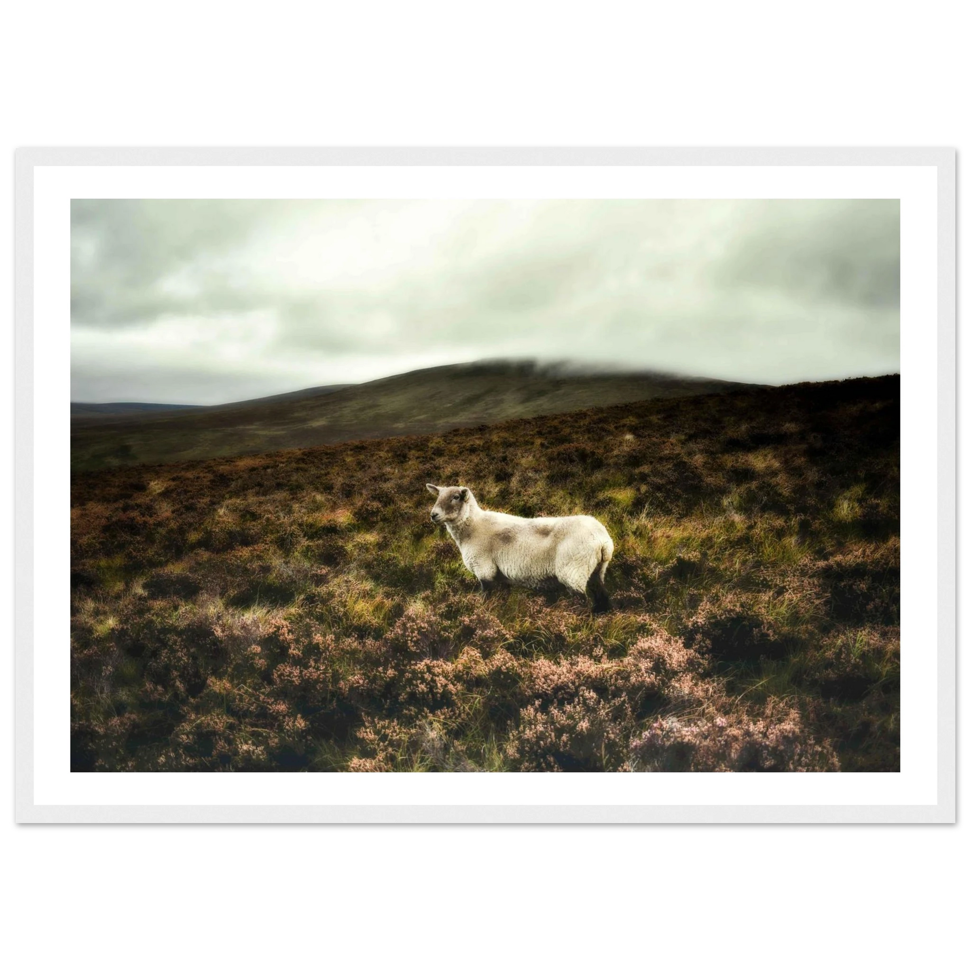 90aa665e-f5a3-460b-aefd-470c653bd5df