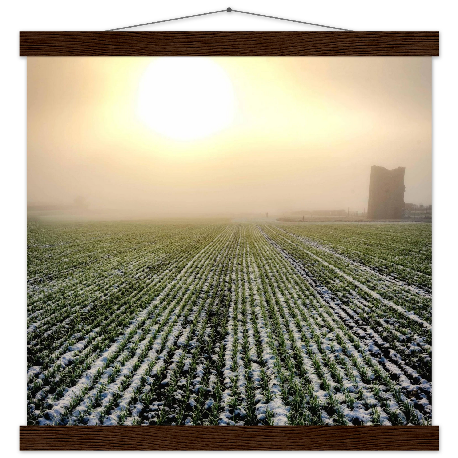 90c0b99d-0170-4561-9d55-b15e400399f1