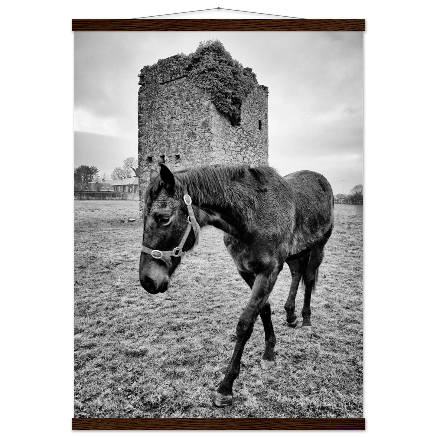 90e86bbe-c037-4373-9f36-443a747e142e