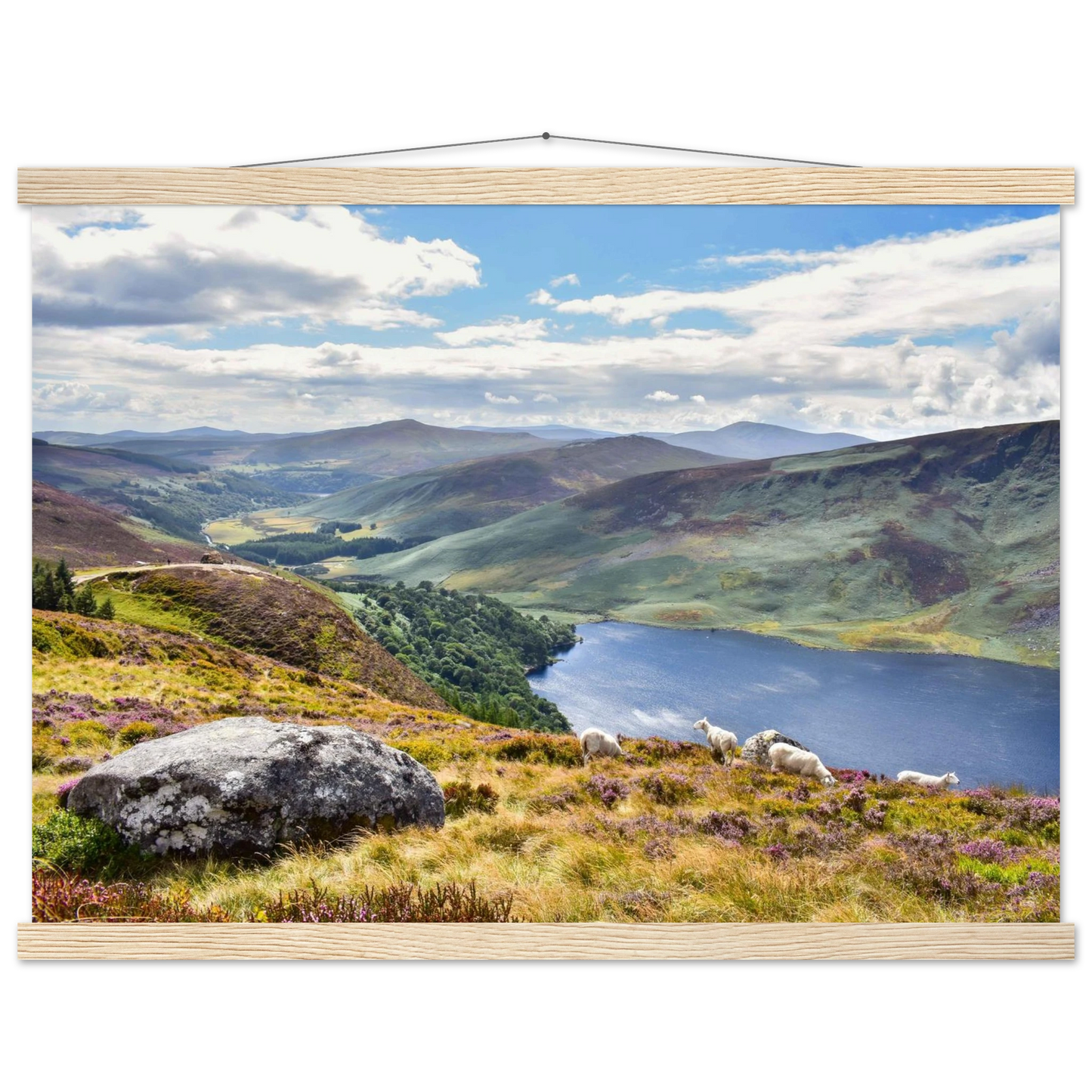 90e8d020-ebd5-48bc-b6a4-a60c9421b300