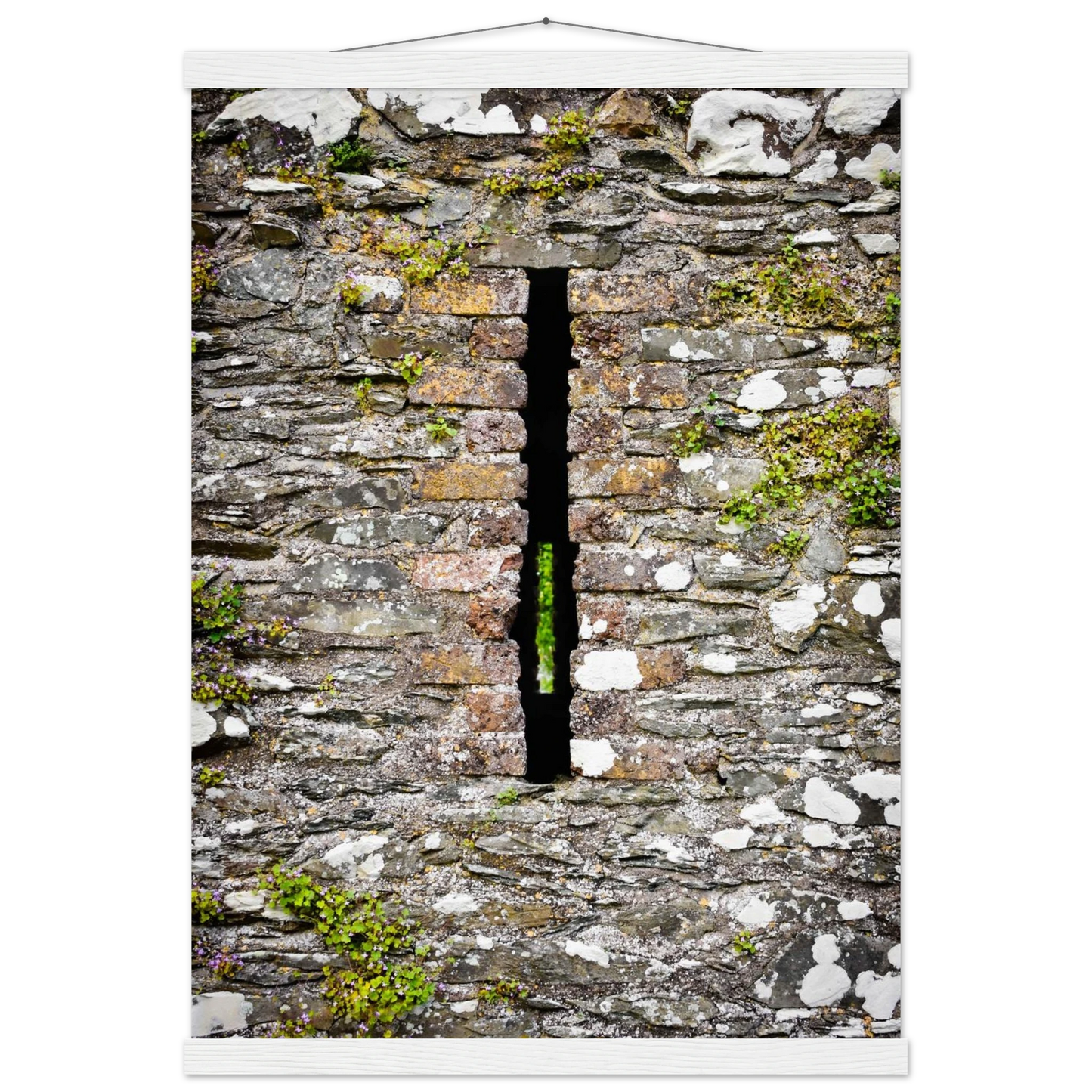 925d3346-3e5d-43ab-94c8-69cccb03b873