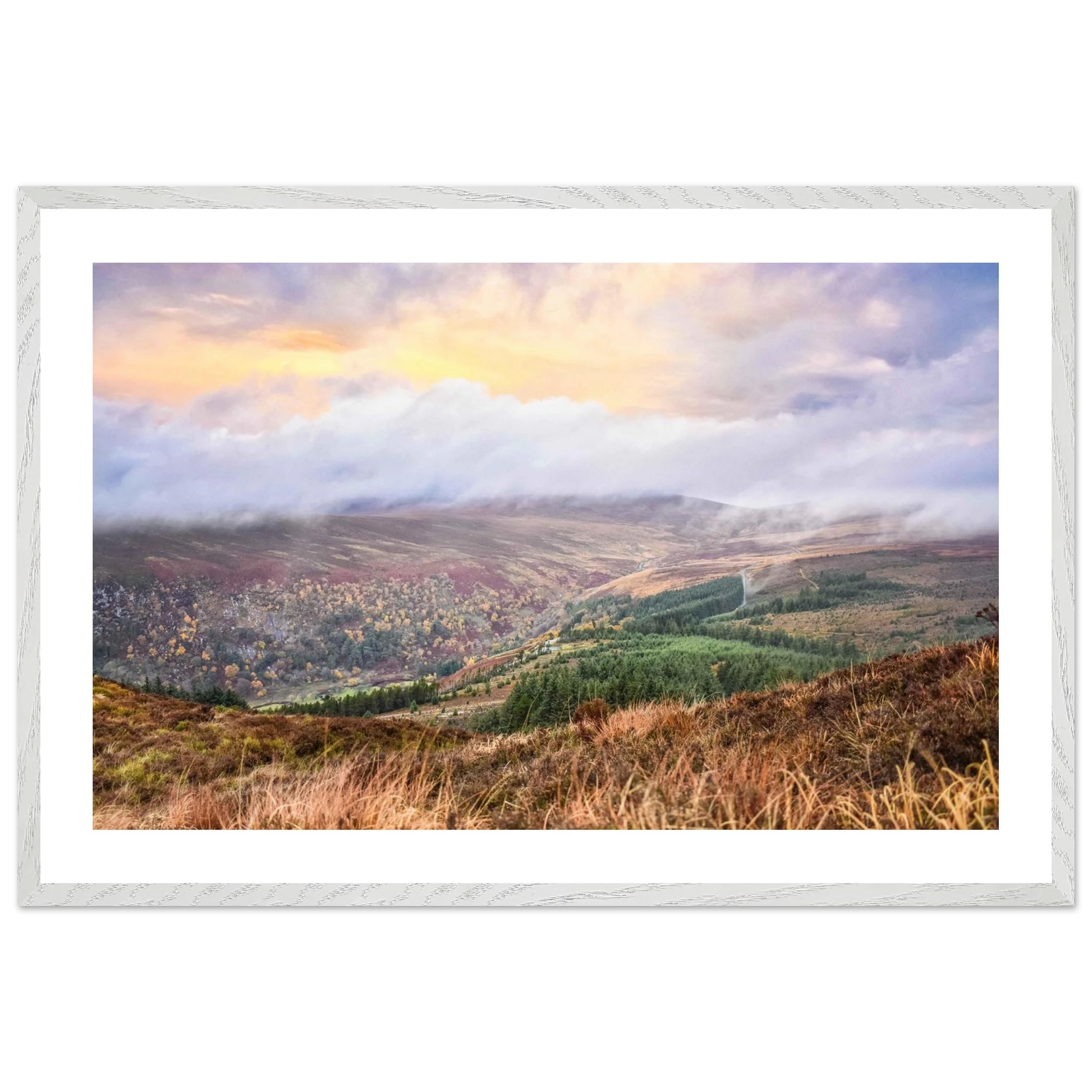 9261780e-f206-4d2c-bb27-2a8a8bbef4cc