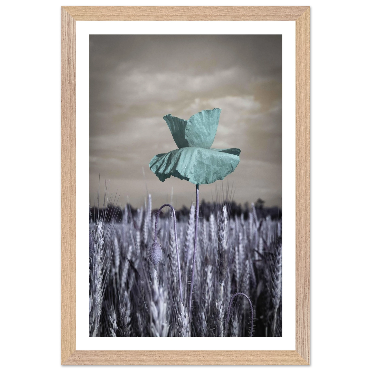 926da91c-10c1-411c-af5d-6d0f7b543c38