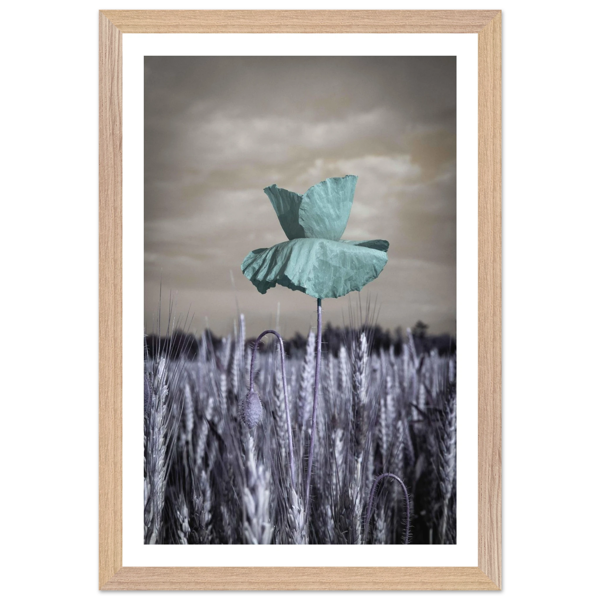 926da91c-10c1-411c-af5d-6d0f7b543c38