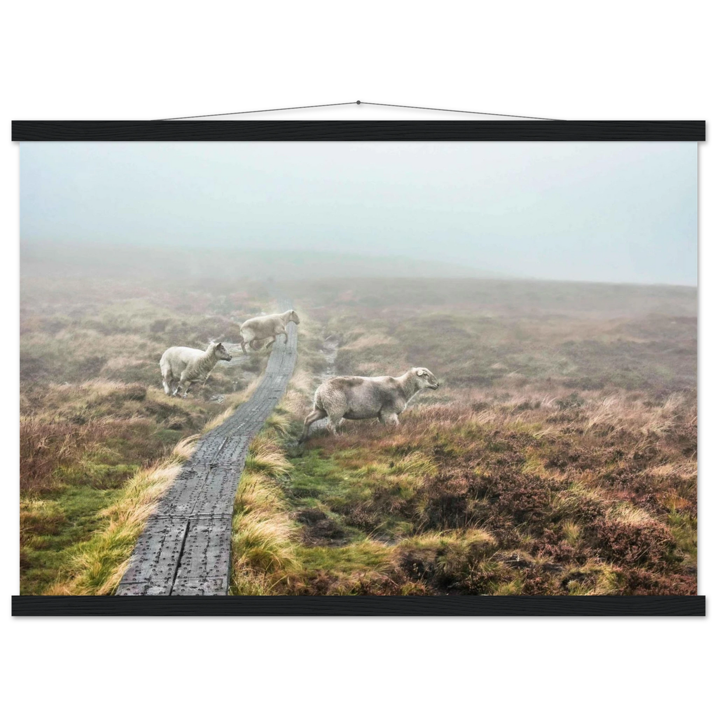 9290adad-9b7c-4d39-ac23-621103bdb85c