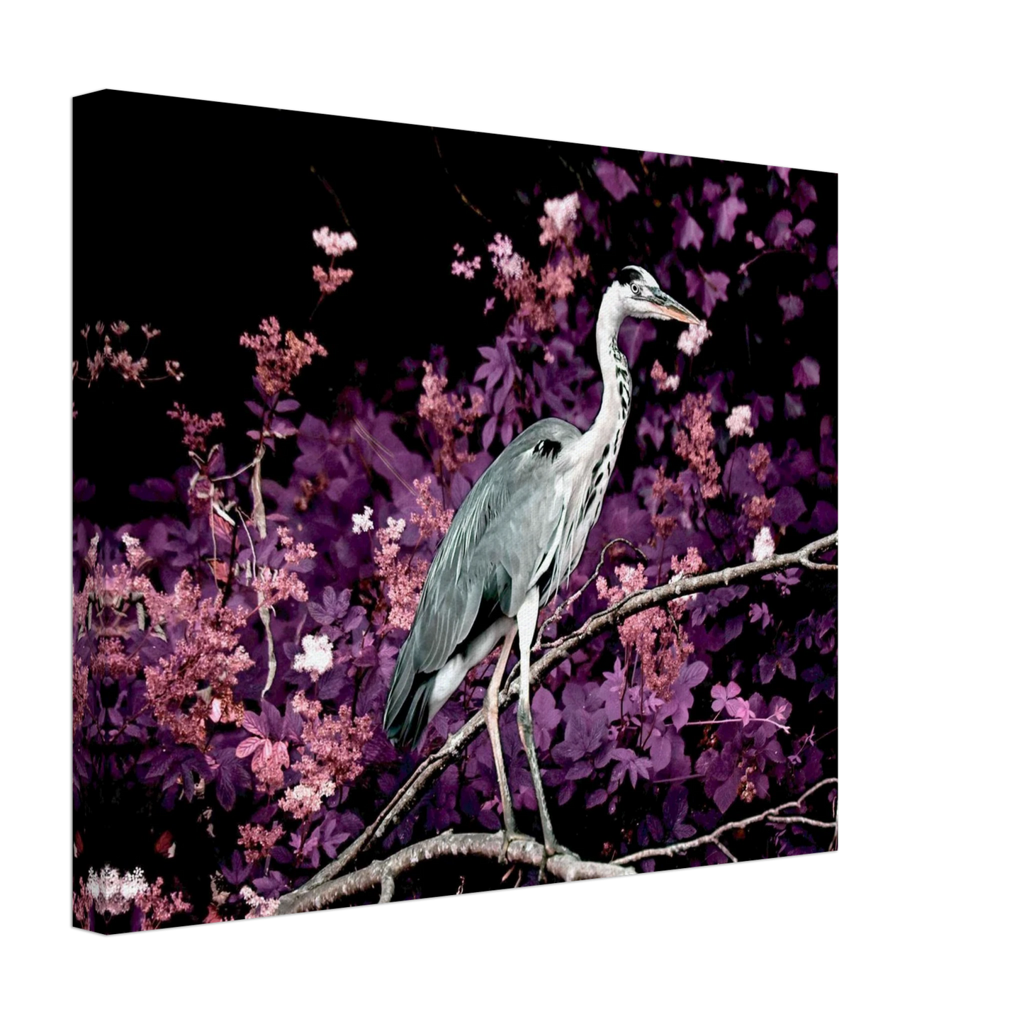 92a3eb9e-61f0-4102-a38d-4e104a4db599