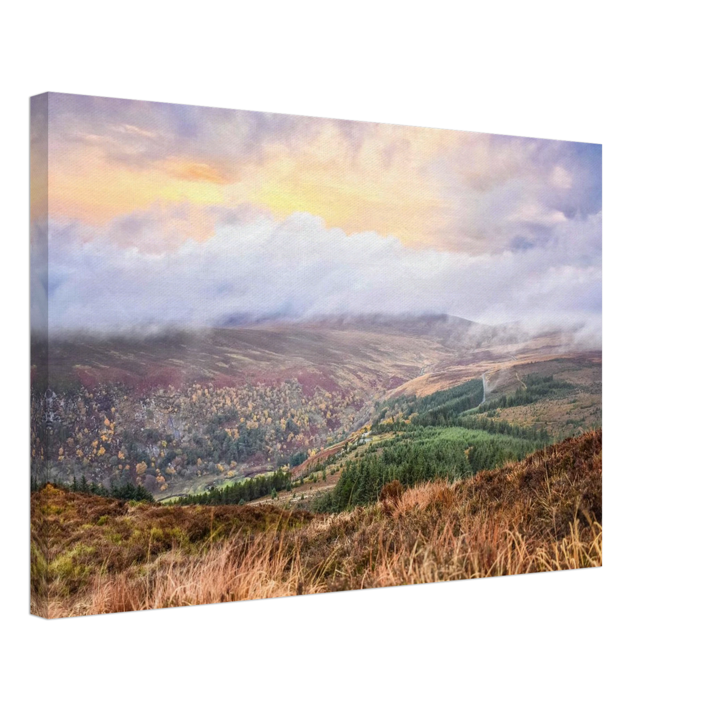 92f712e8-4d18-4fb1-a046-2672122a2eaa