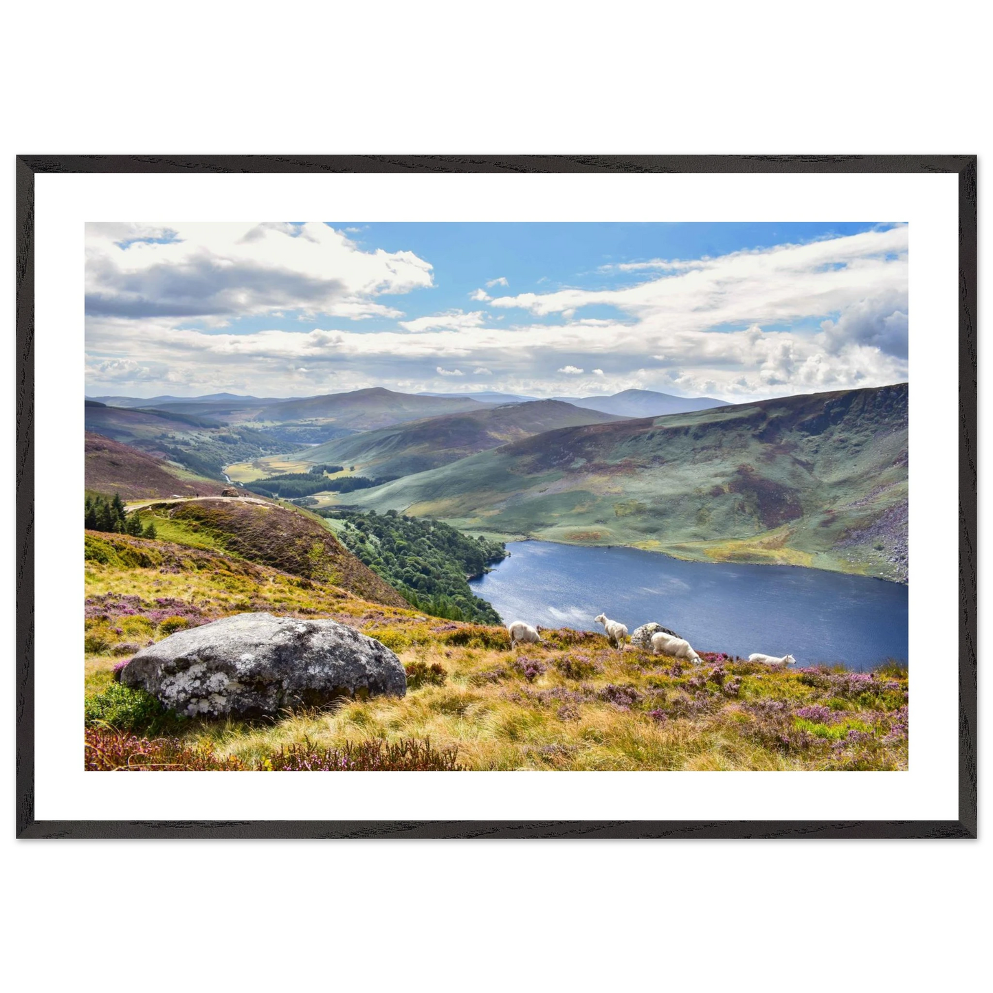 93c077bb-57ca-4f28-aafd-288f66feea09