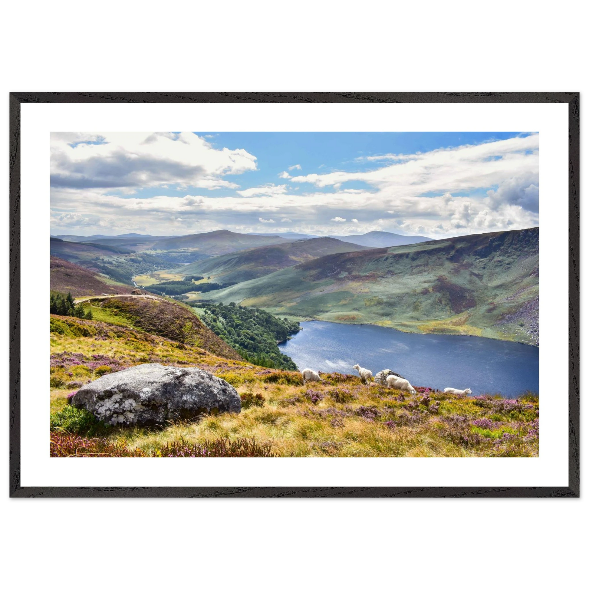 93c077bb-57ca-4f28-aafd-288f66feea09