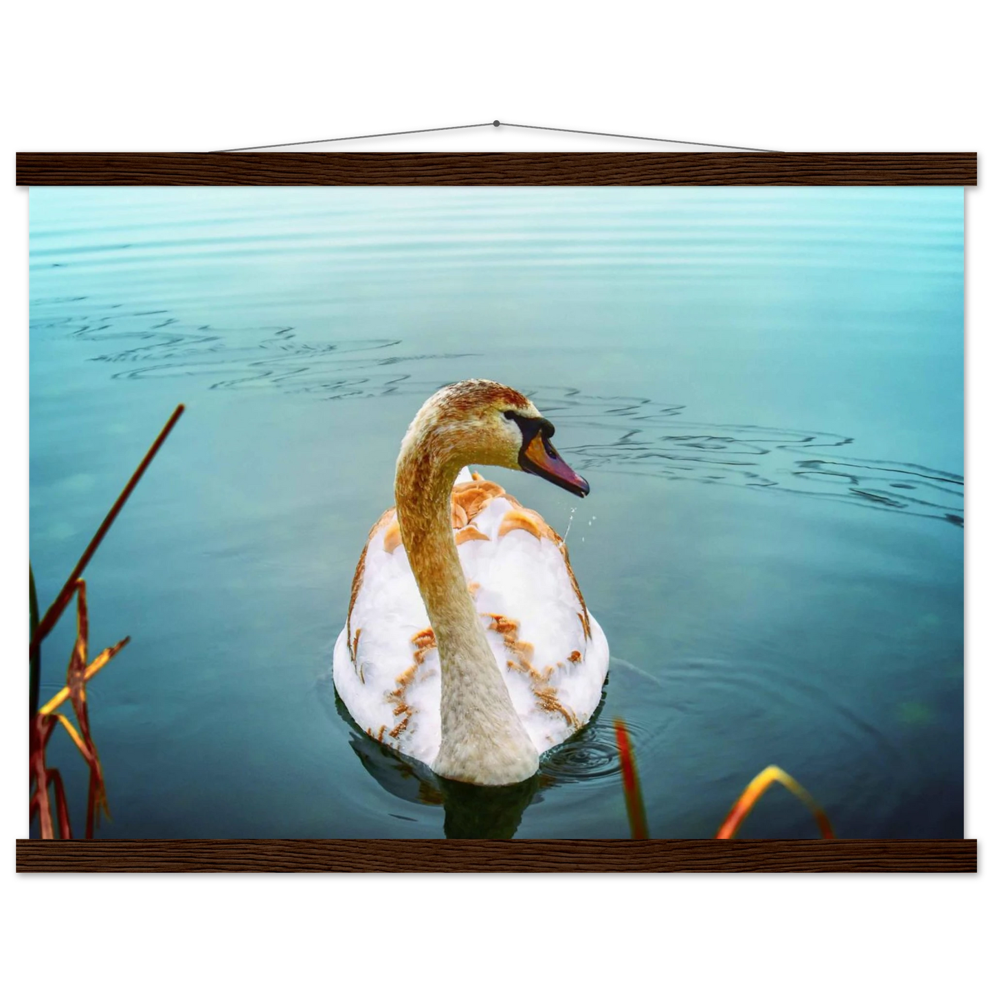 942cf578-ef88-401a-a414-3f58a0828bea