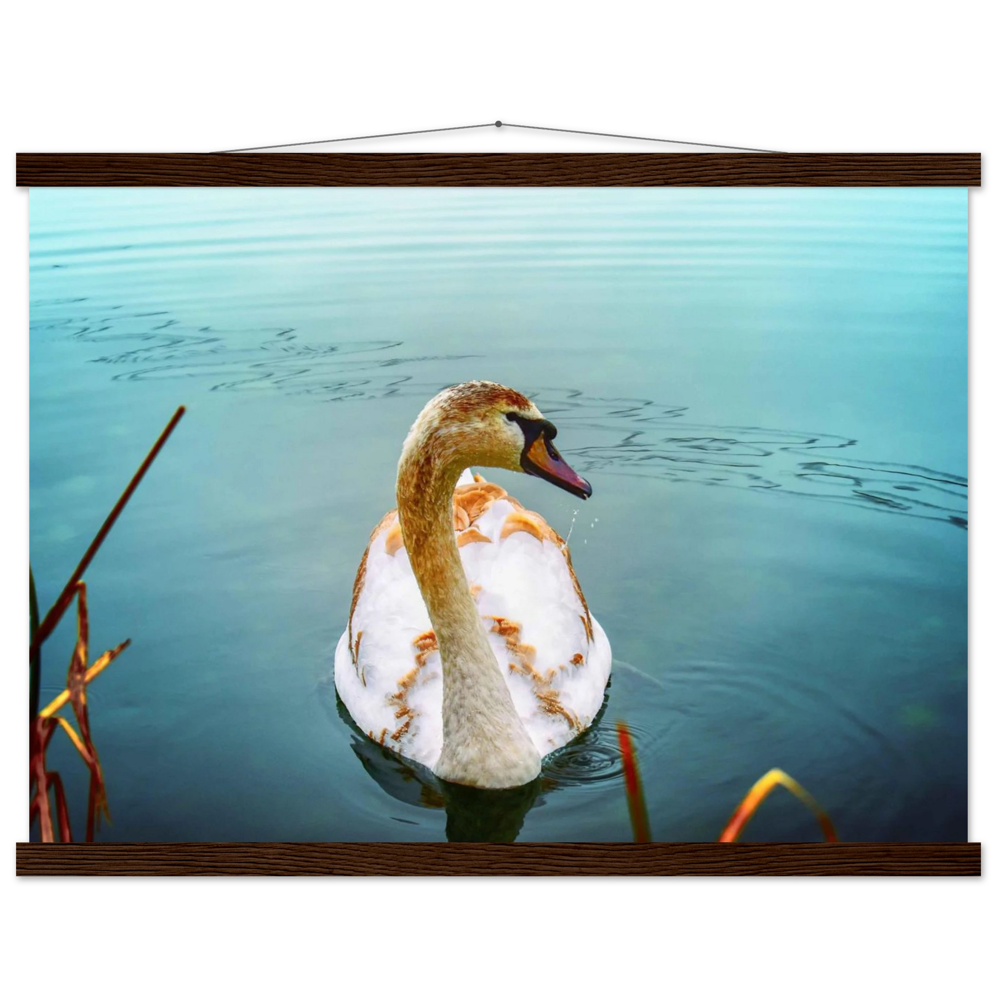 942cf578-ef88-401a-a414-3f58a0828bea