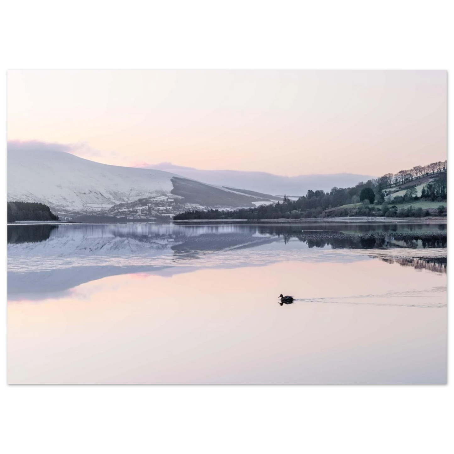 9437152d-fd23-4fb9-97c2-854d9d7550ad