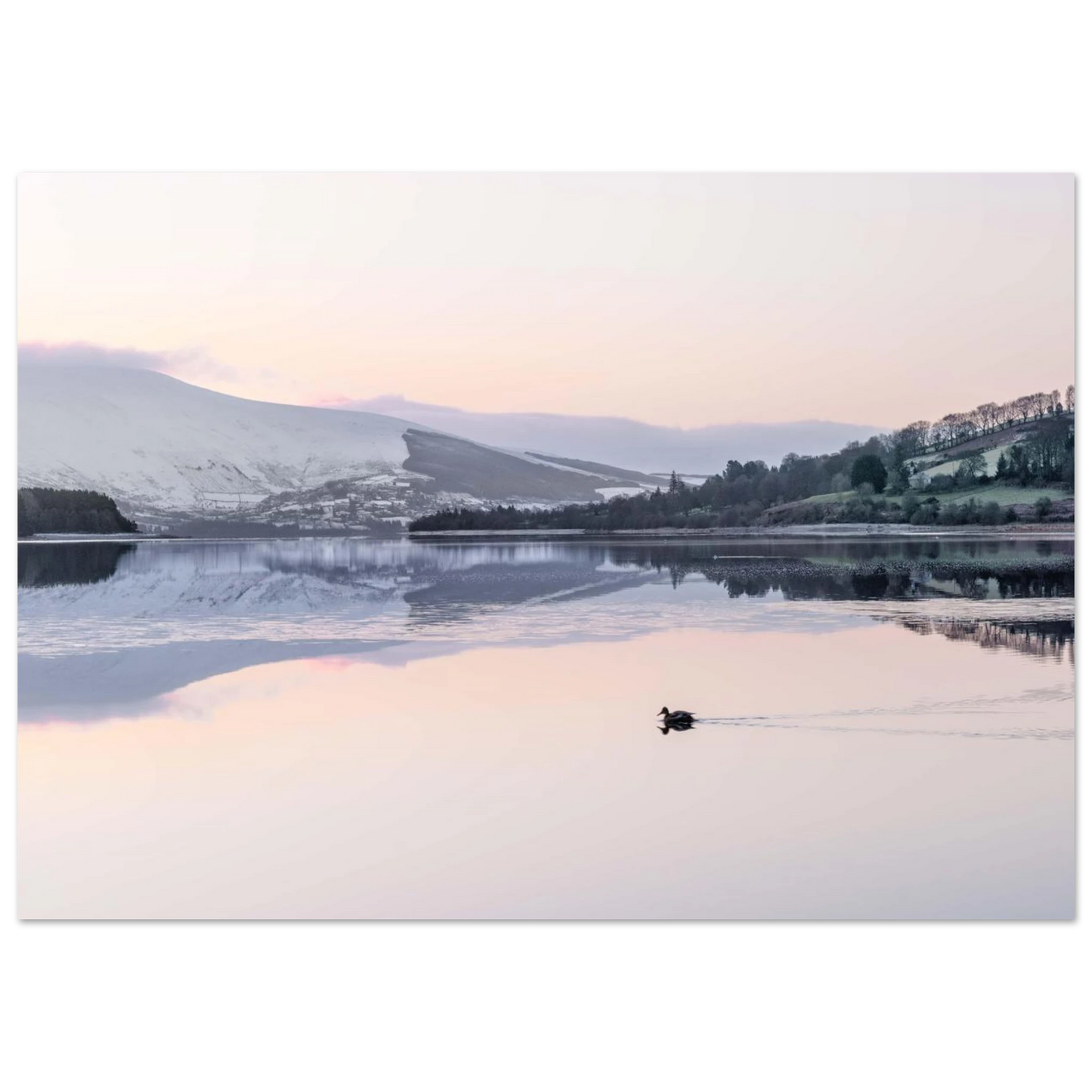 94a9f98f-6df2-45eb-93d5-73eff030899e