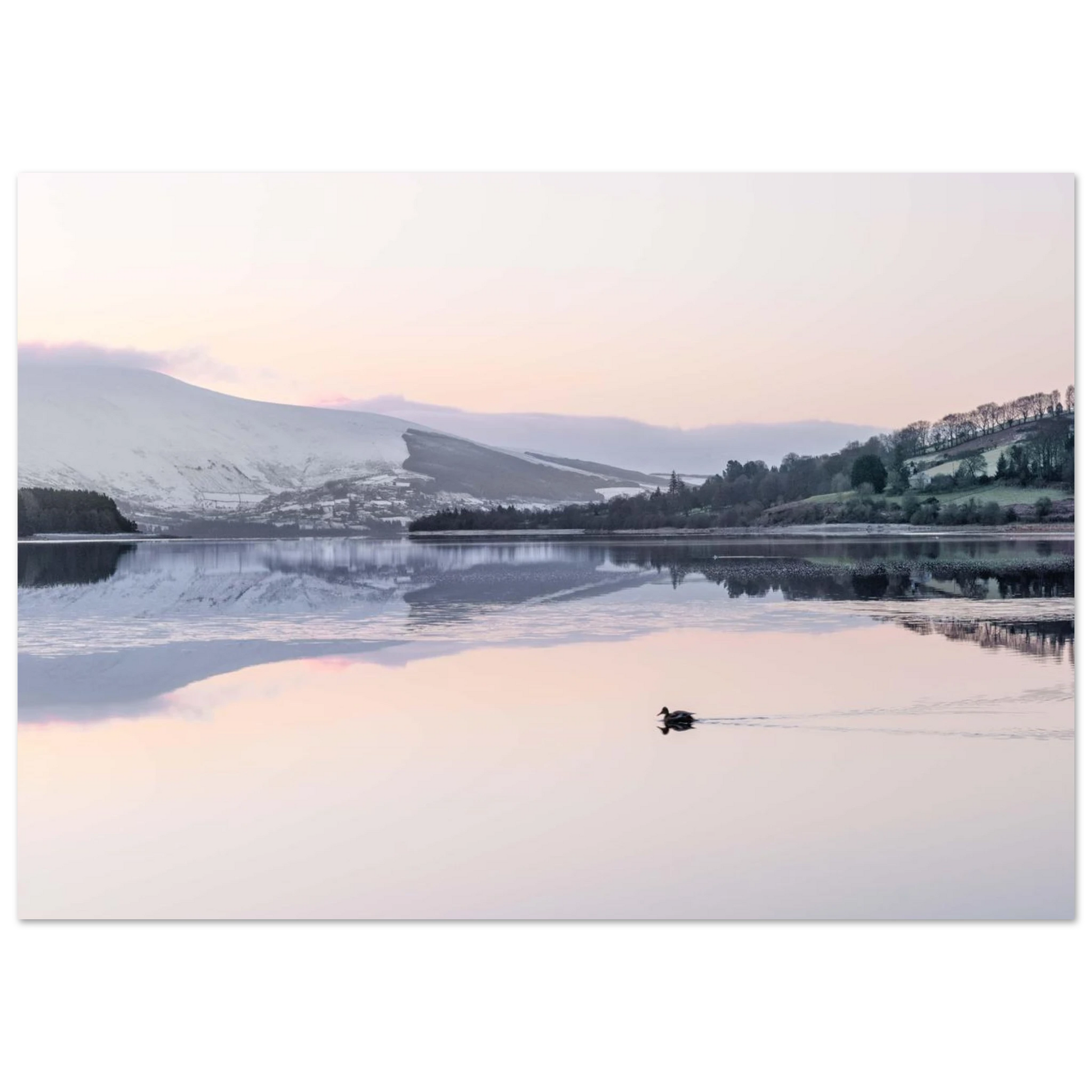 94a9f98f-6df2-45eb-93d5-73eff030899e