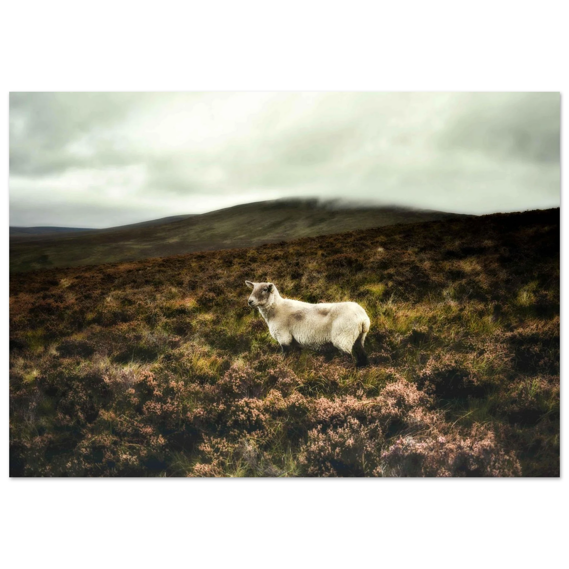 9651026d-7aba-41f3-8cd4-5d8582697e1c