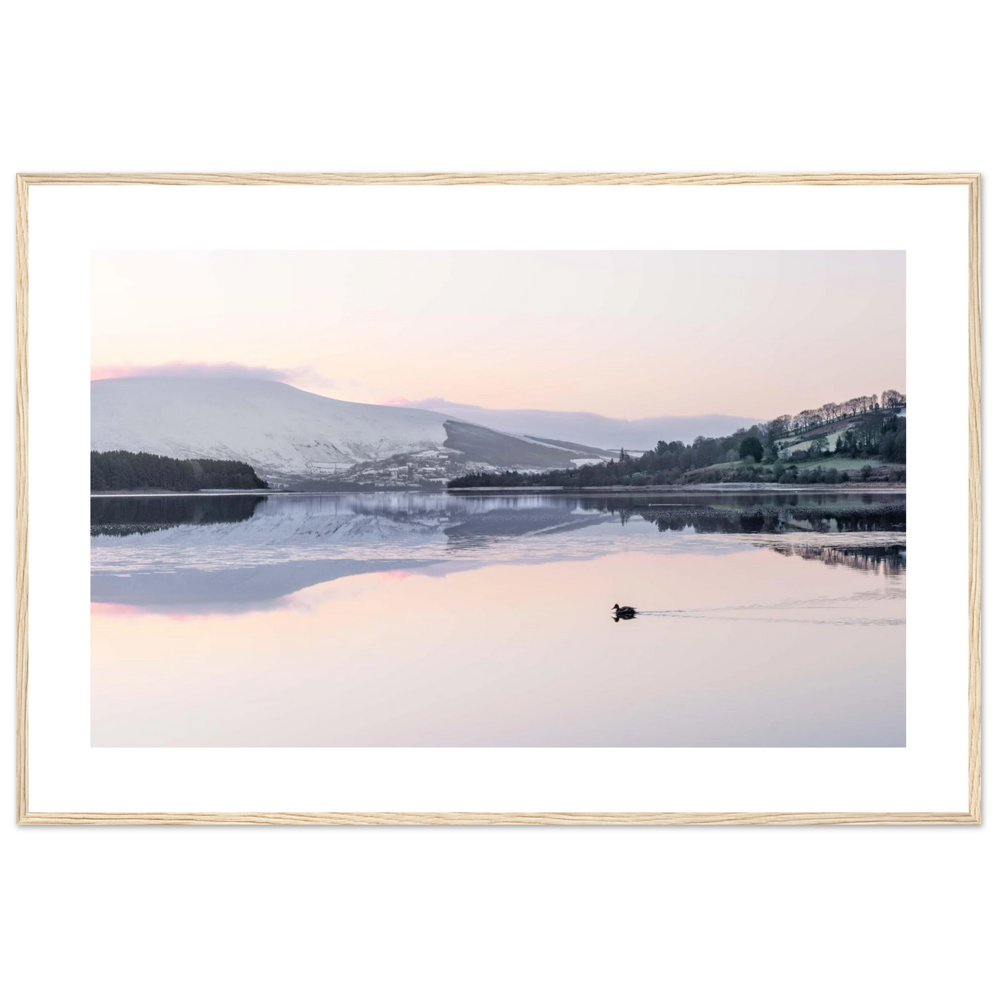 966e1228-aa96-449e-ba58-a1eb80325dac