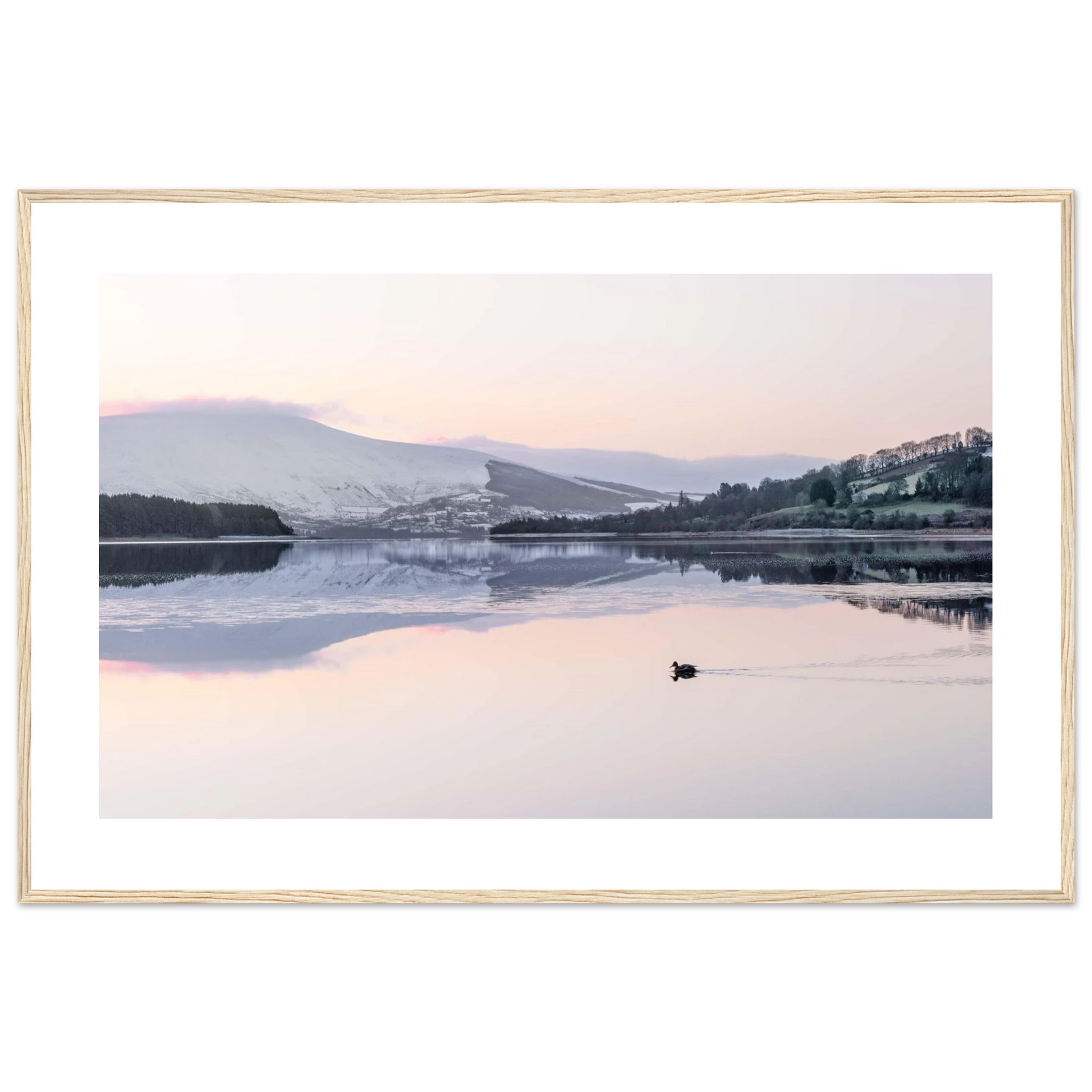 966e1228-aa96-449e-ba58-a1eb80325dac