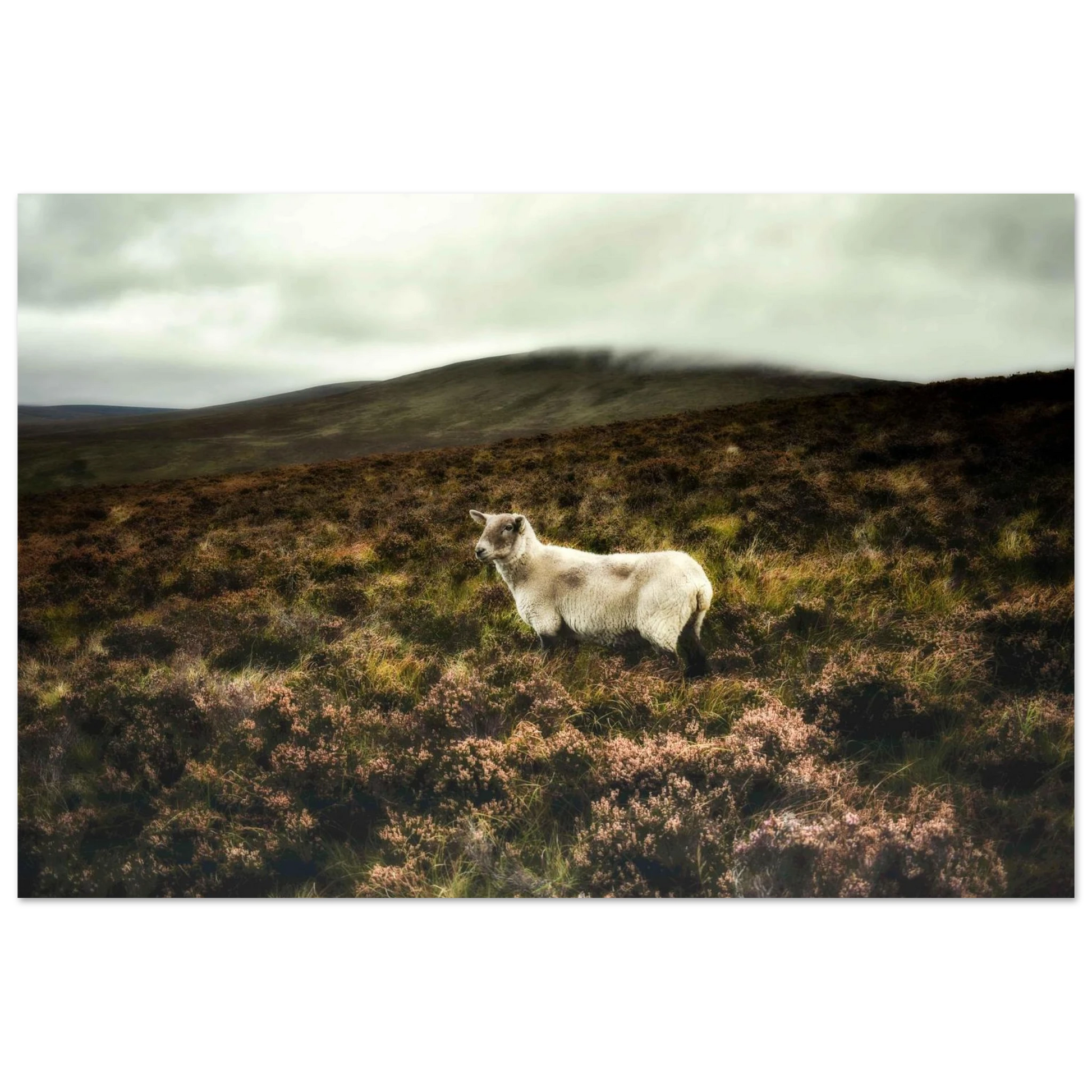 96e96fc1-be91-4212-ab79-8c3a0b560e64