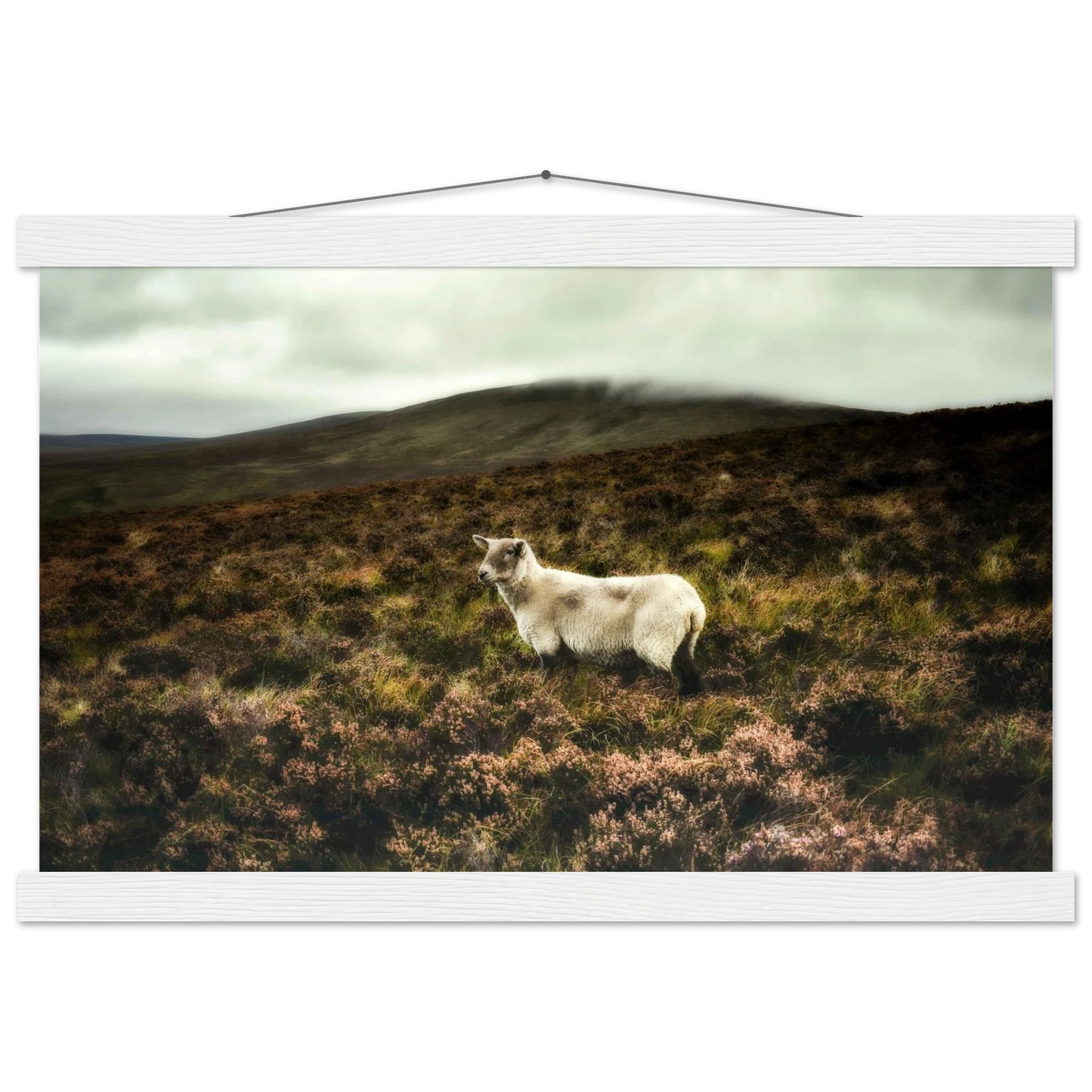 971a3693-7925-4f8e-b4d7-c6c772cd0ed3