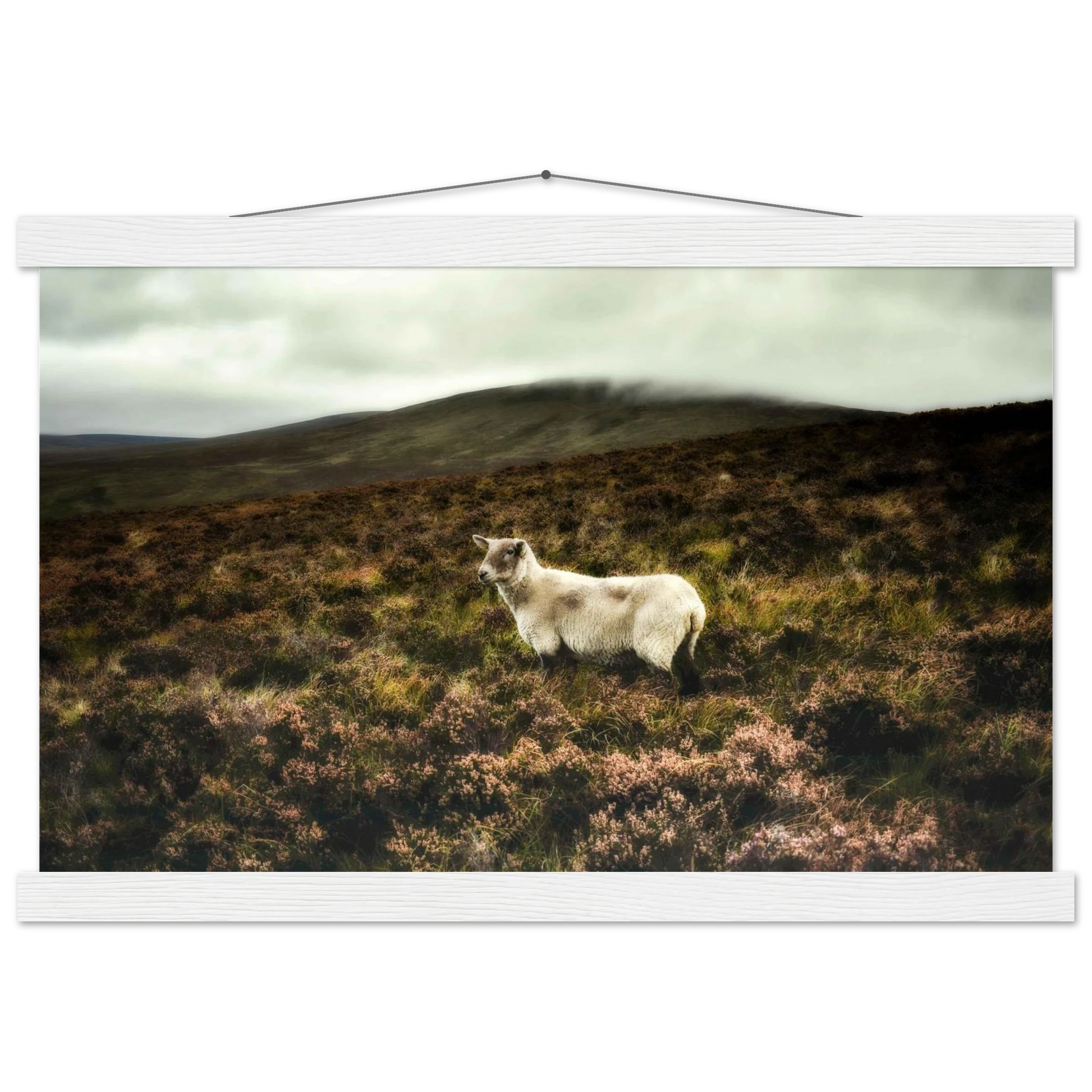 971a3693-7925-4f8e-b4d7-c6c772cd0ed3