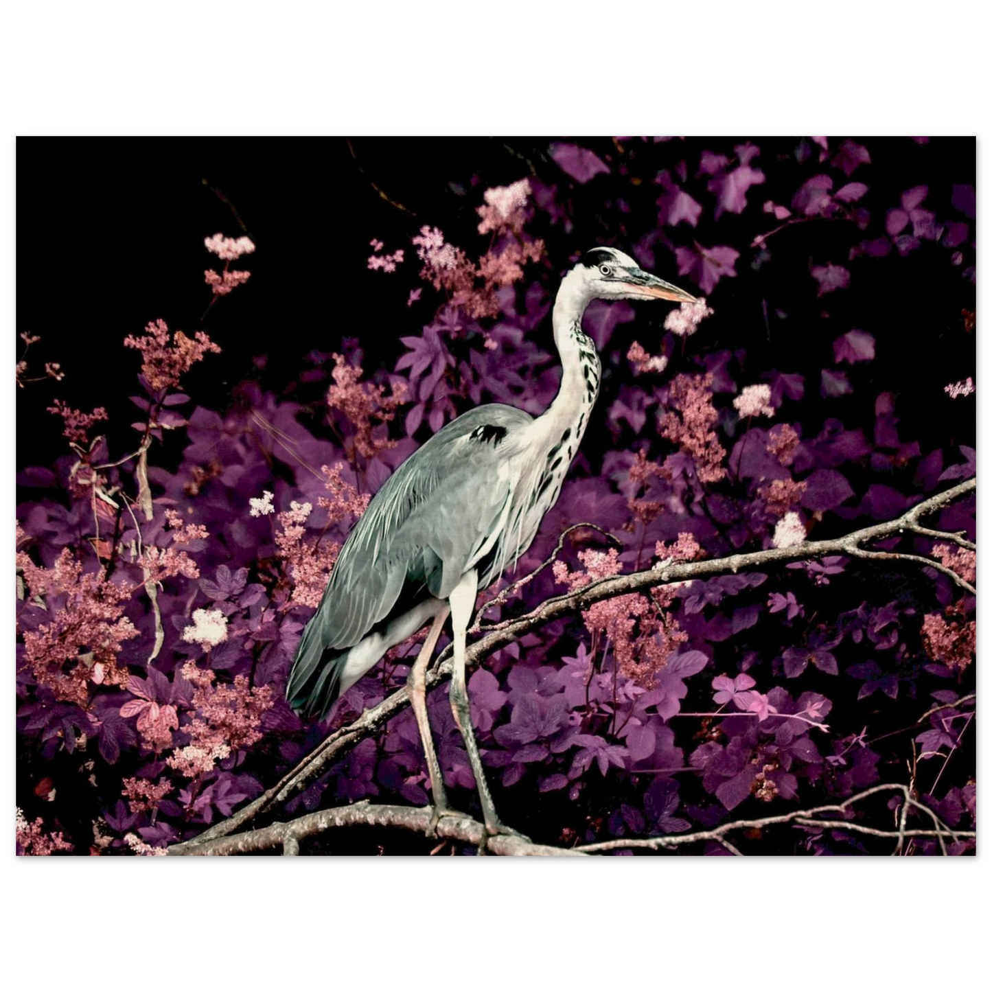 973dd19c-094c-4a82-b5cd-d98df3ee8b07