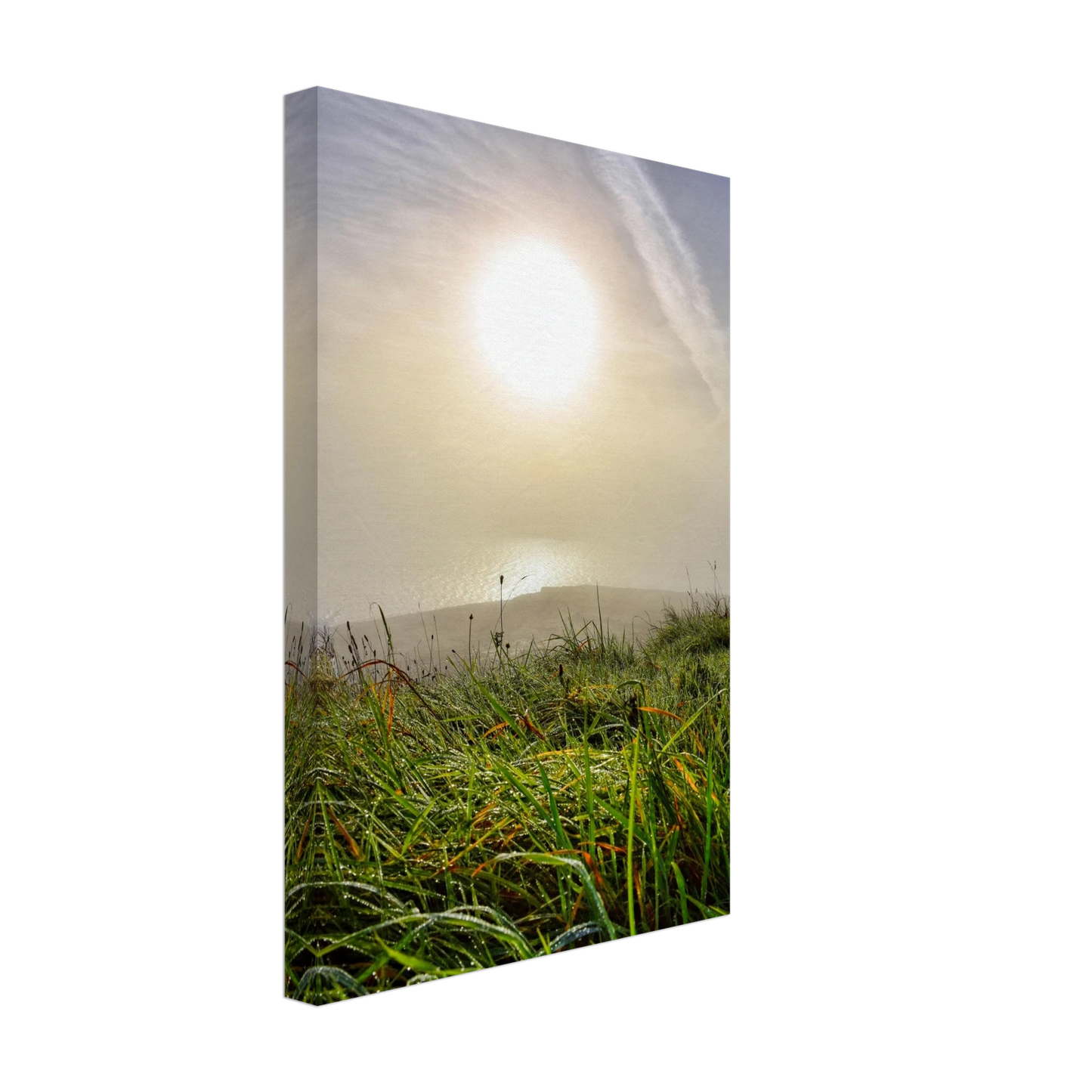 97df3f1f-7bfc-4f06-95fc-100ea4180313