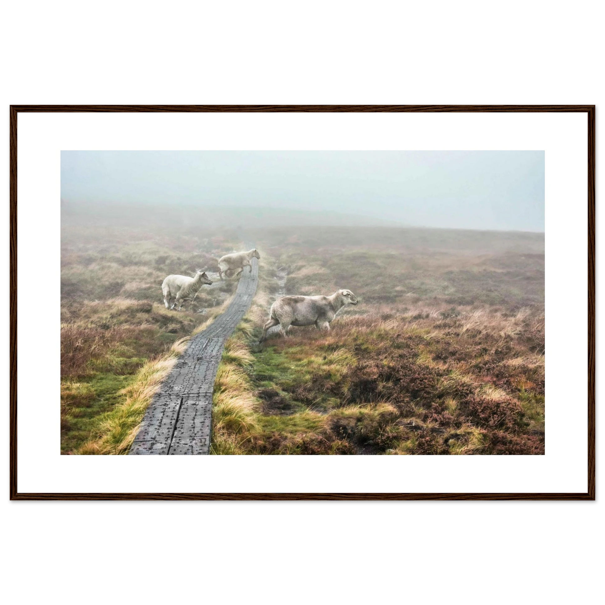 9880866f-117e-4a8d-abbc-52fa7352375c