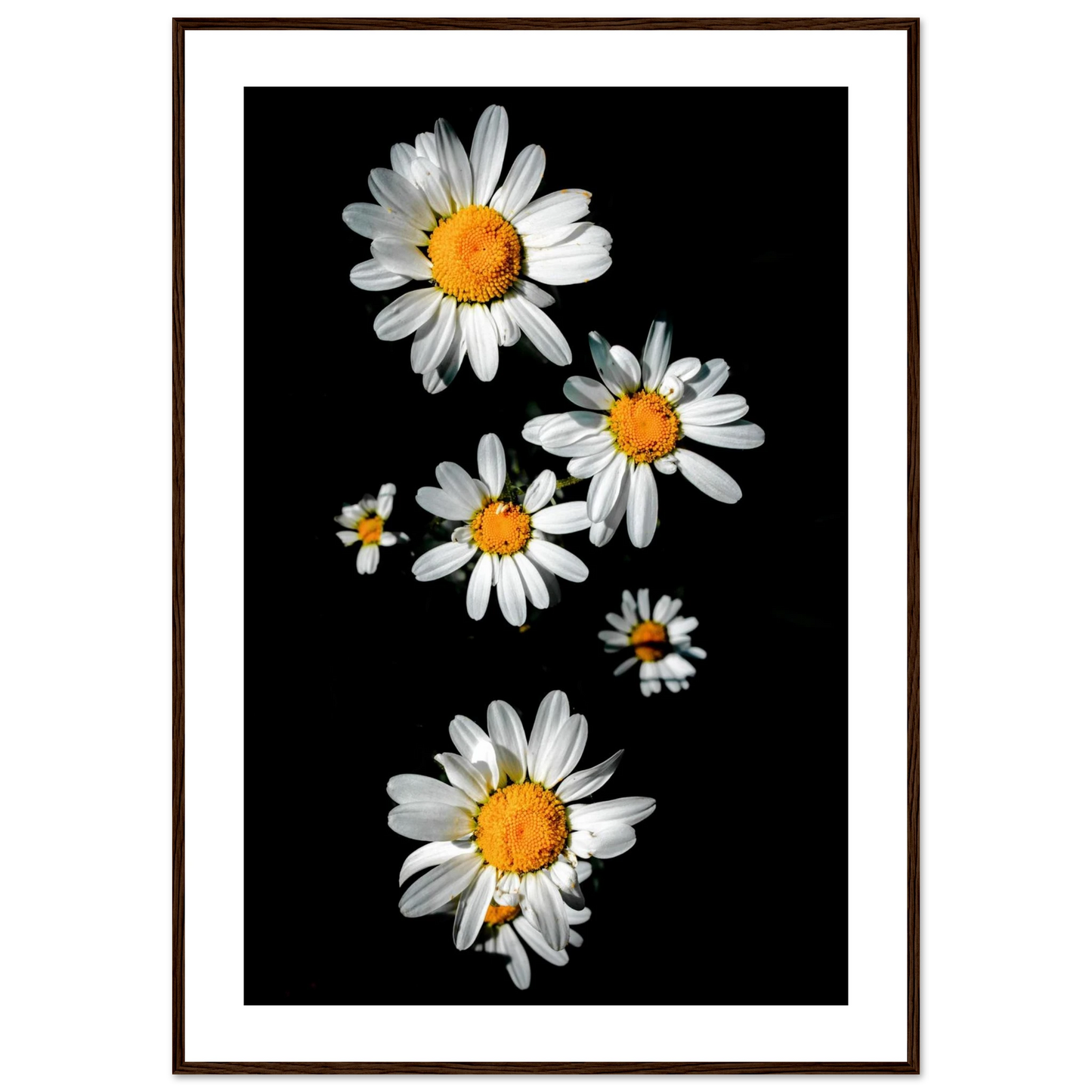 9897cb22-a018-4d5b-999d-9889597385d0