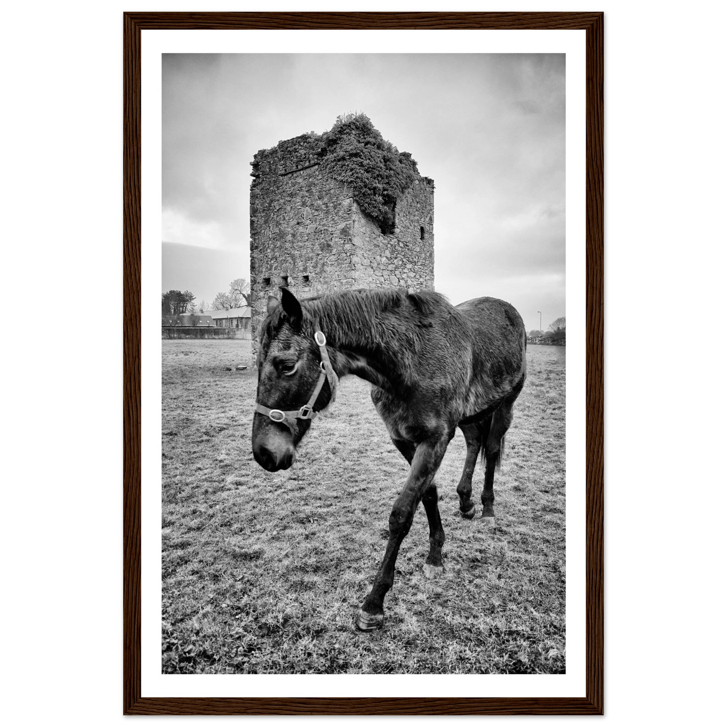 98bd219b-1815-4919-9e32-120789521b08