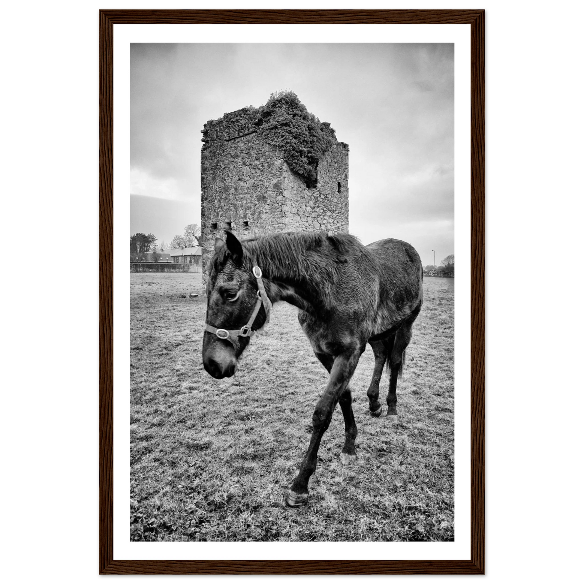 98bd219b-1815-4919-9e32-120789521b08