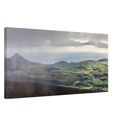 98c393d6-a8c5-47d6-8565-96611ebd1b2b