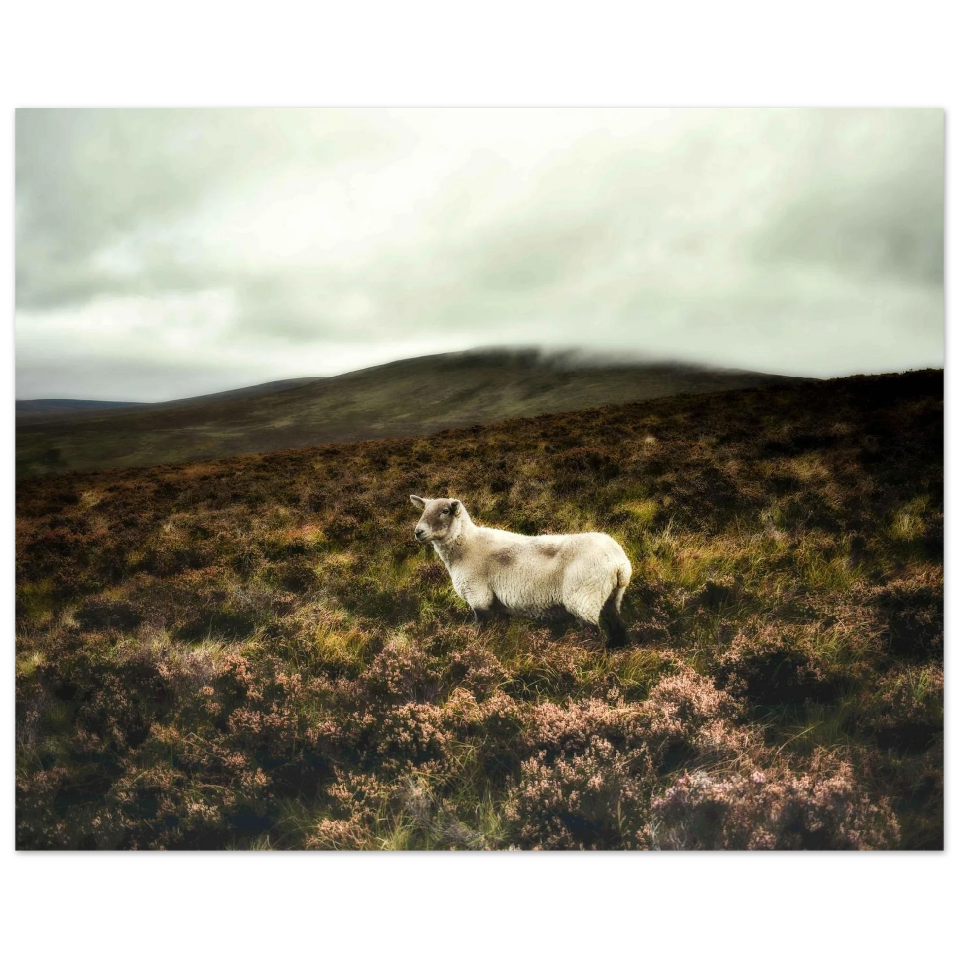 98f02b51-c025-460a-925b-a10224a0630d