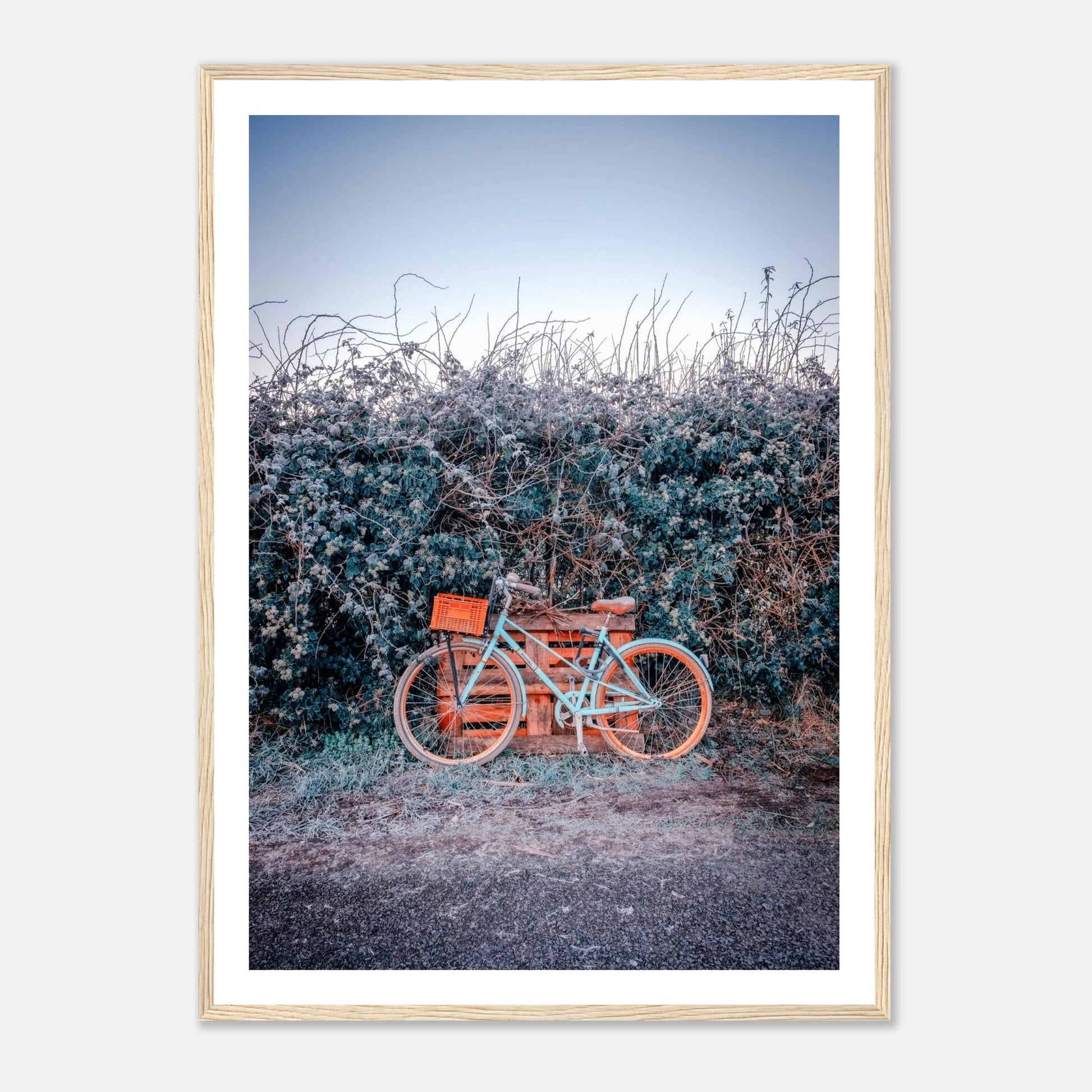 98f2a520-580e-4cf4-b2c3-67530a5b57ea