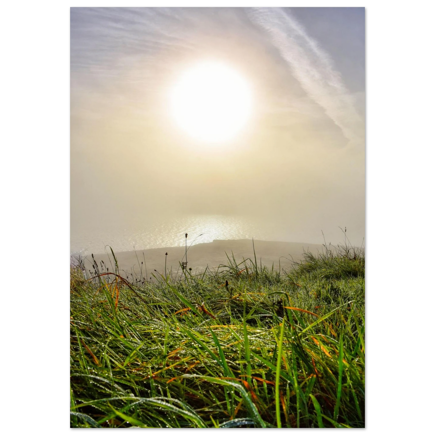 99290498-ebe3-401c-a316-265ea0435e43