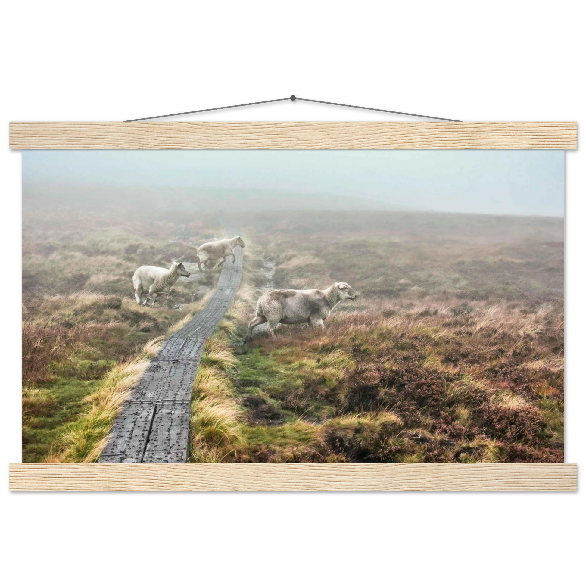 994b12d9-1c4a-4249-a77f-3a55b0c636e9